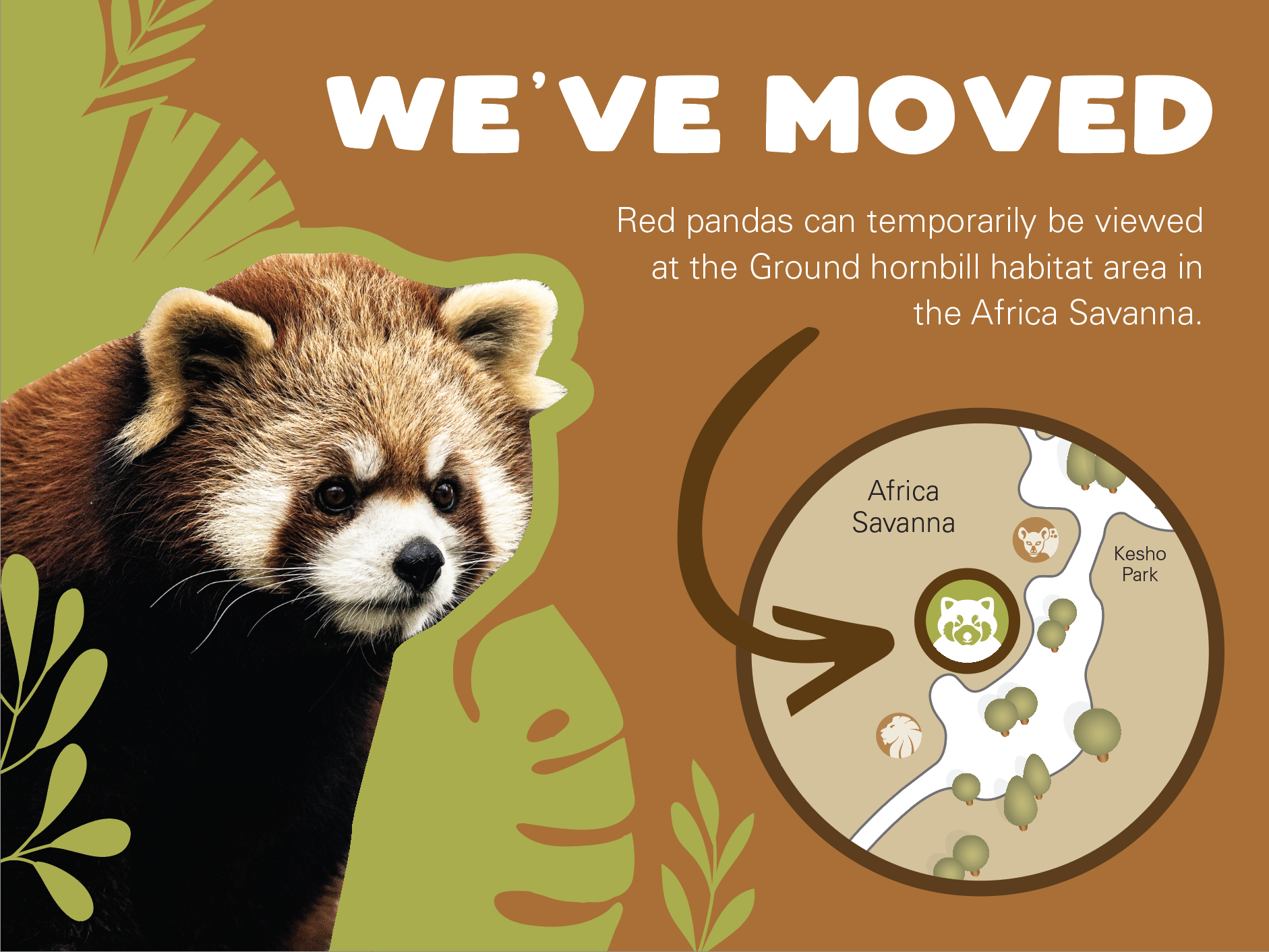 AtRedPandas.png