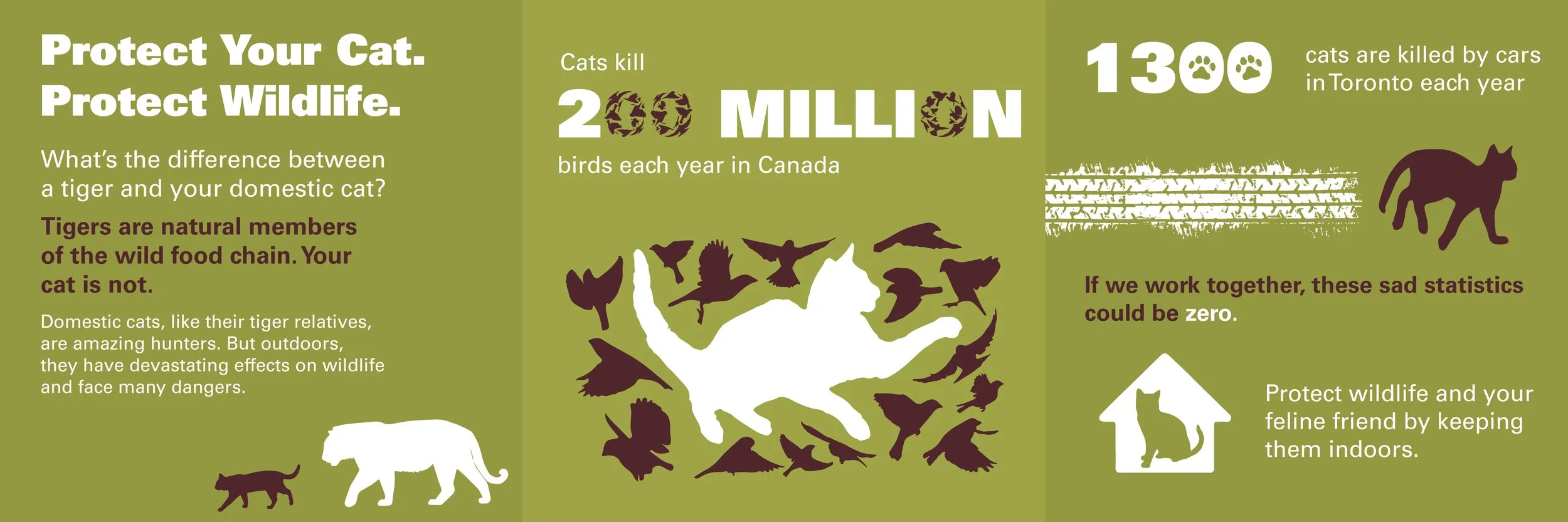 CatStats.jpg