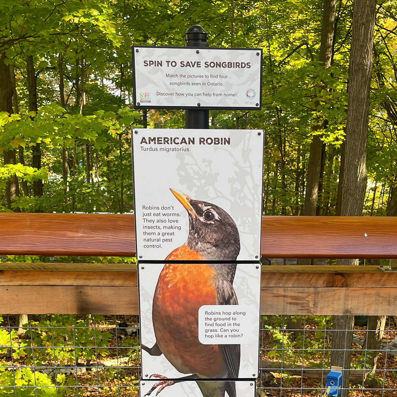 Toronto Zoo Interactive Signage