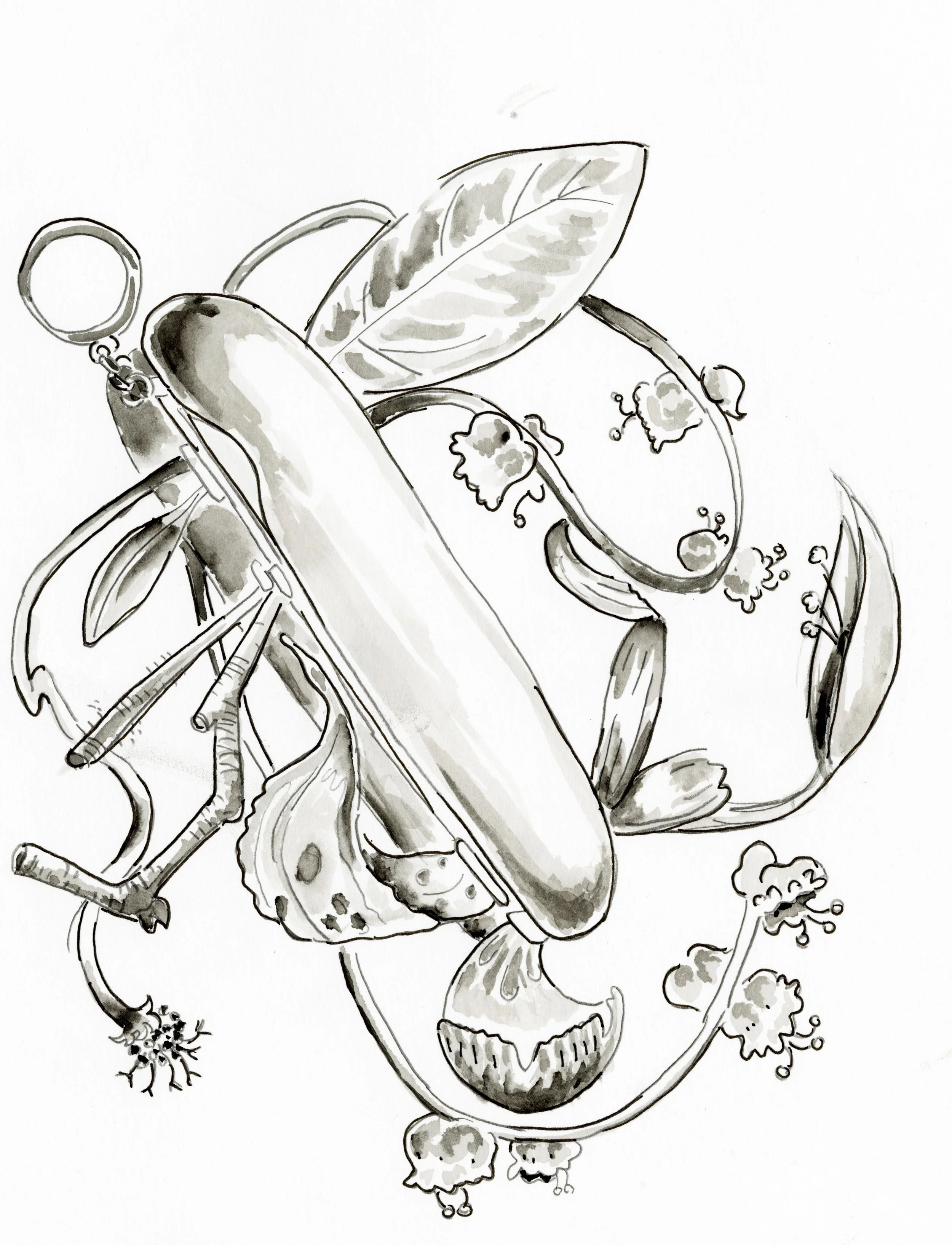 PlantSwissknife.jpg