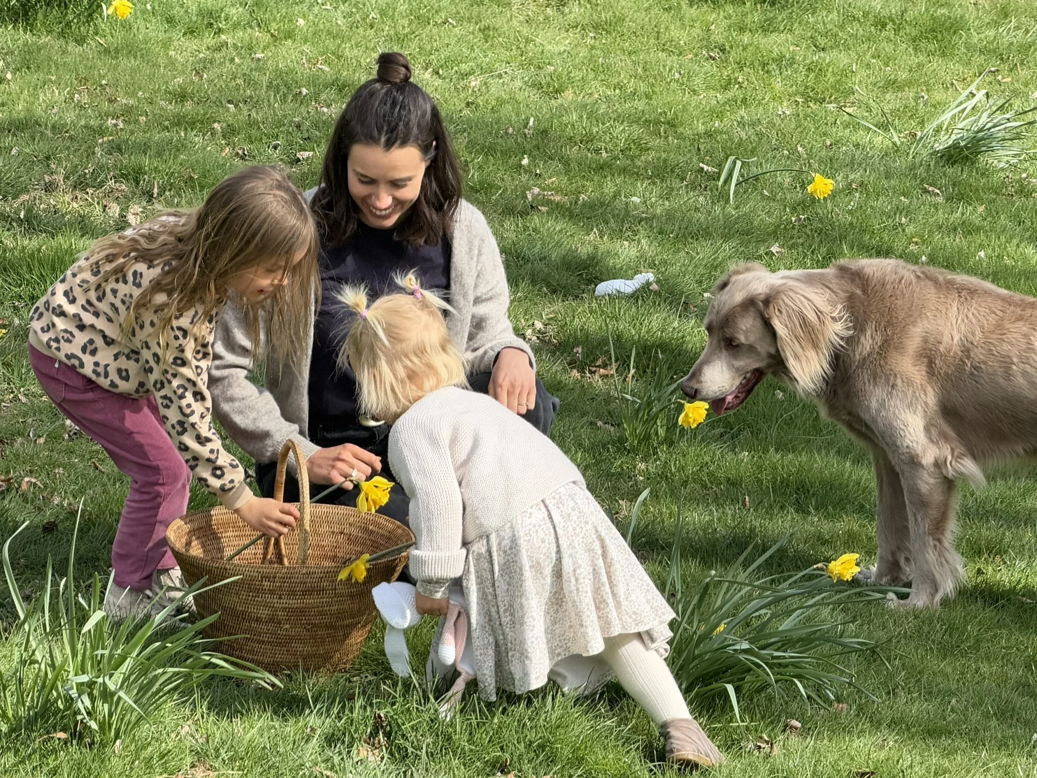 Georgie a Queenstown sleep consultant spending time in the backyard picking daffodils with her two daughters and dog.