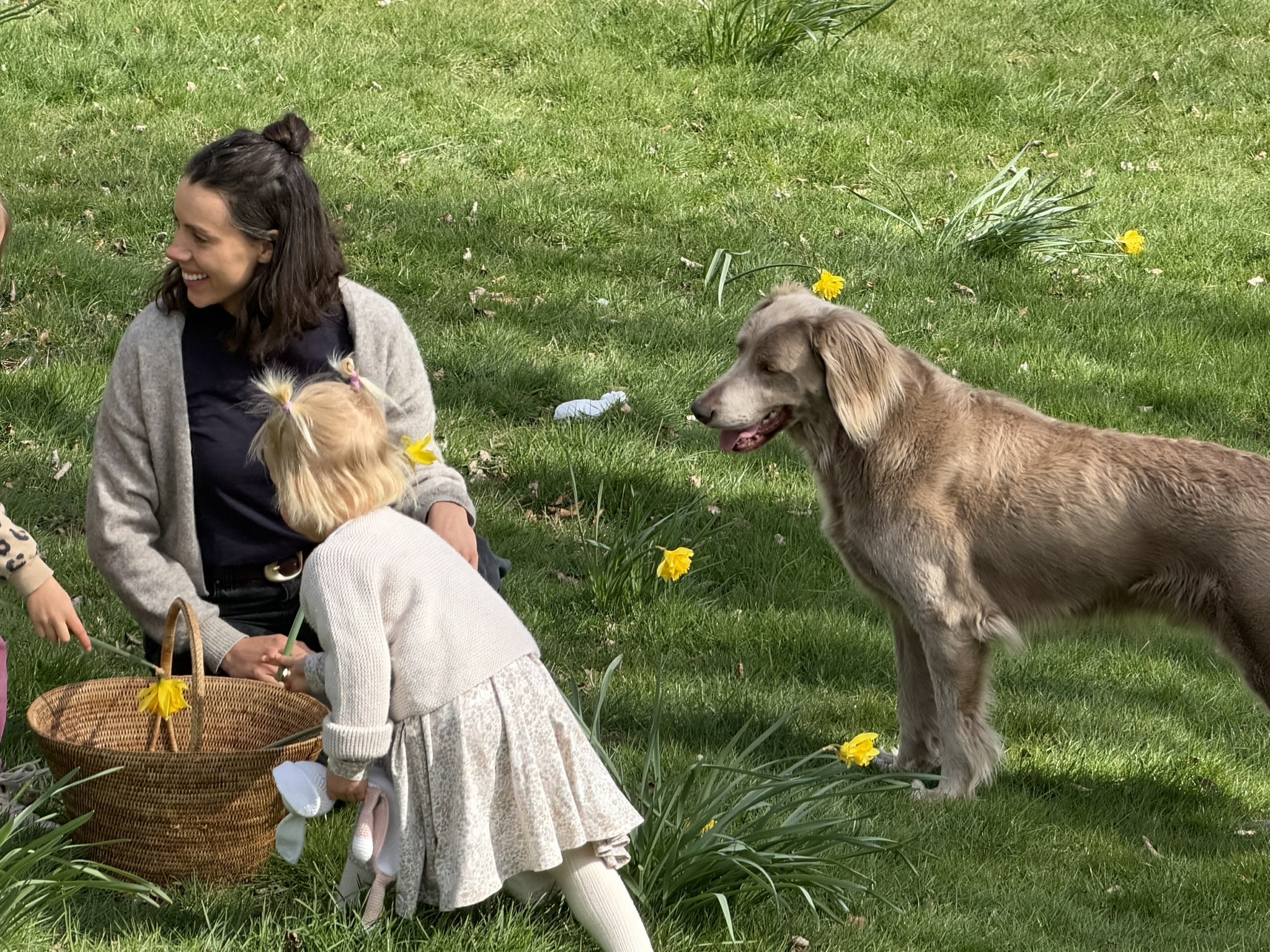 Georgie picking daffodils out in the garden with her daughters.