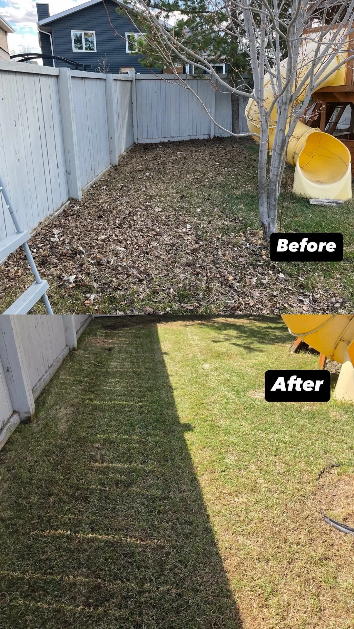 Side-by-side comparison of a backyard before and after cleaning and landscaping. The top image shows a yard covered with leaves and dirt, with a fence, a tree, and a yellow slide. The bottom image shows the yard cleaned up with green grass, no leaves, and a clear view of the fence and slide.