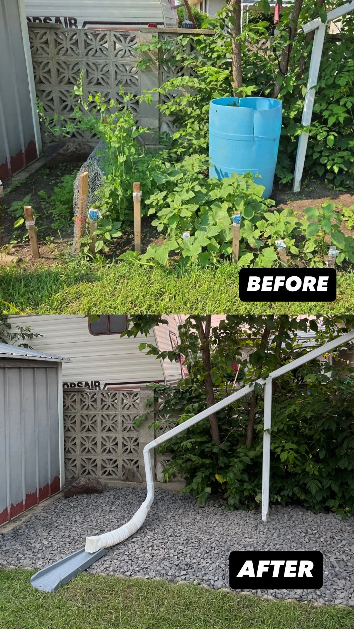 Side view of a yard showing a before and after of landscape cleanup. The before section shows a garden with overgrown plants, a blue plastic barrel, and wooden stakes. The after section shows the same area cleared of plants, with the removal of the barrel, stakes, and the addition of gravel and a drain pipe, along with a section of new grass.