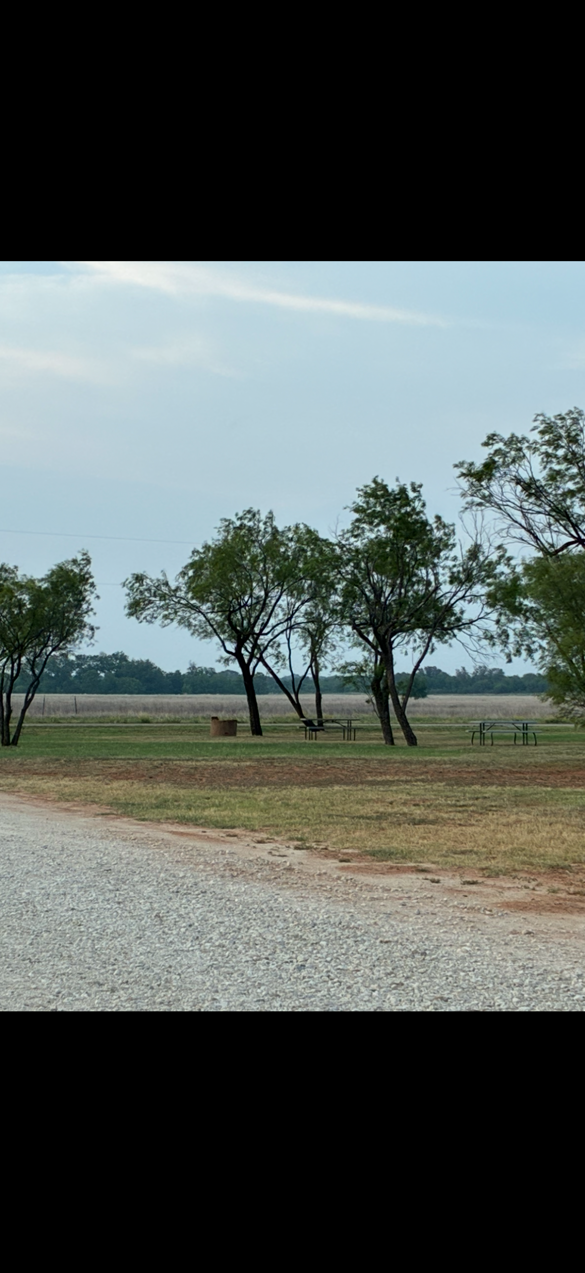 A park with trees, picnic tables, and a gravel path on a cloudy day, with a field in the background.