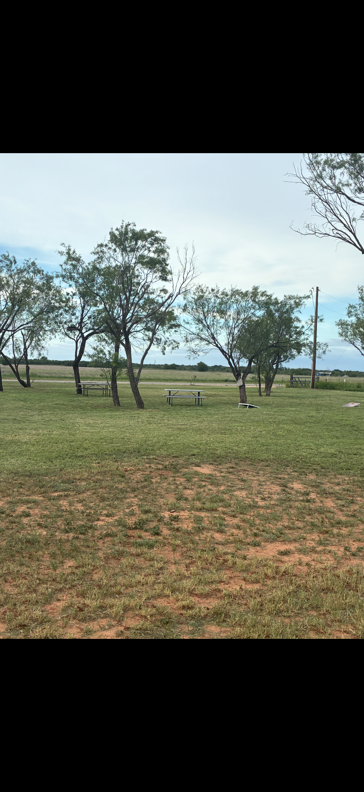 An open grassy field with sparse trees and picnic tables under a cloudy sky.