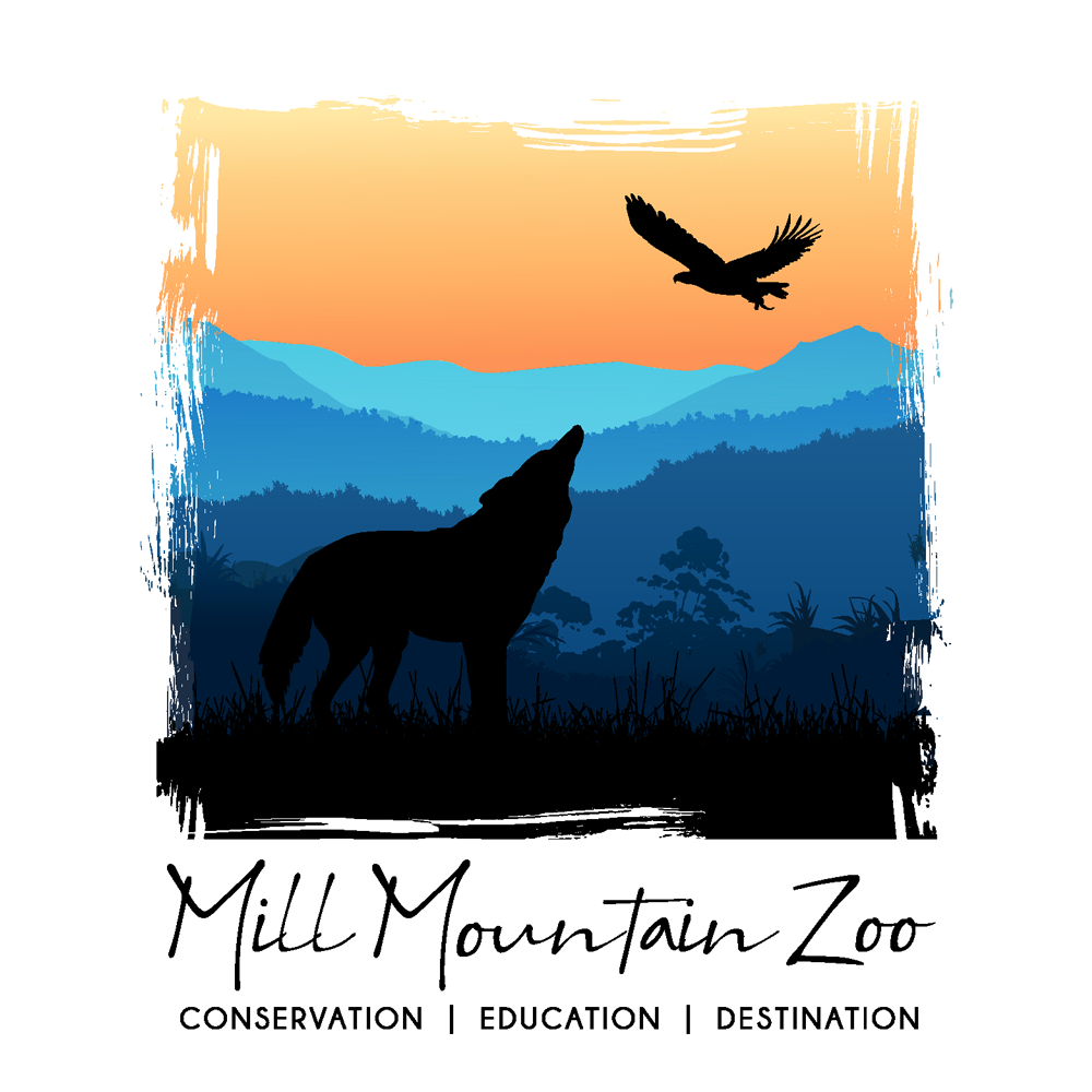 MMZLogo.png
