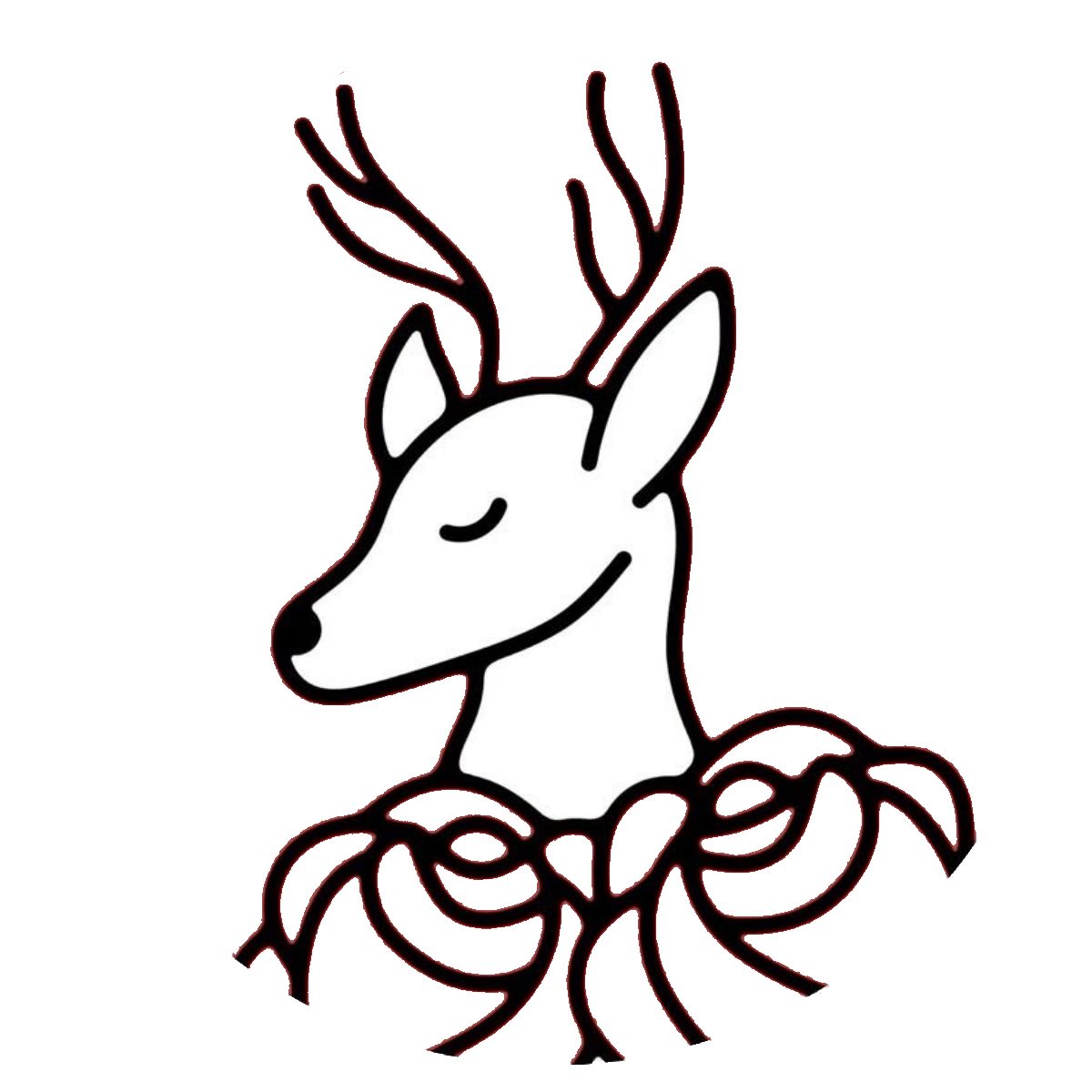 Laredo DSA 