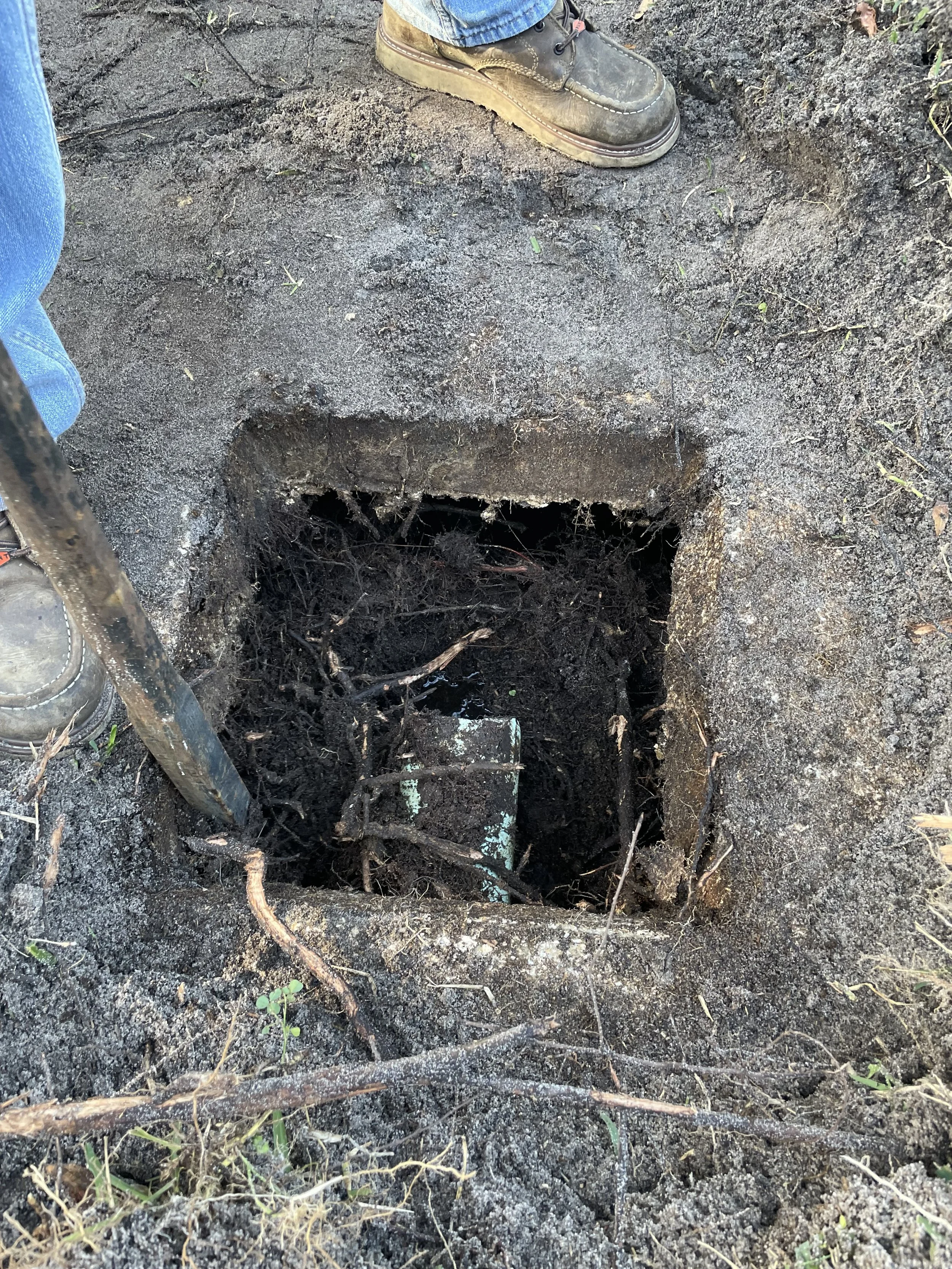Part of a person's foot in work boots standing on dirt and near an open hole in the ground with some small plants and twigs.