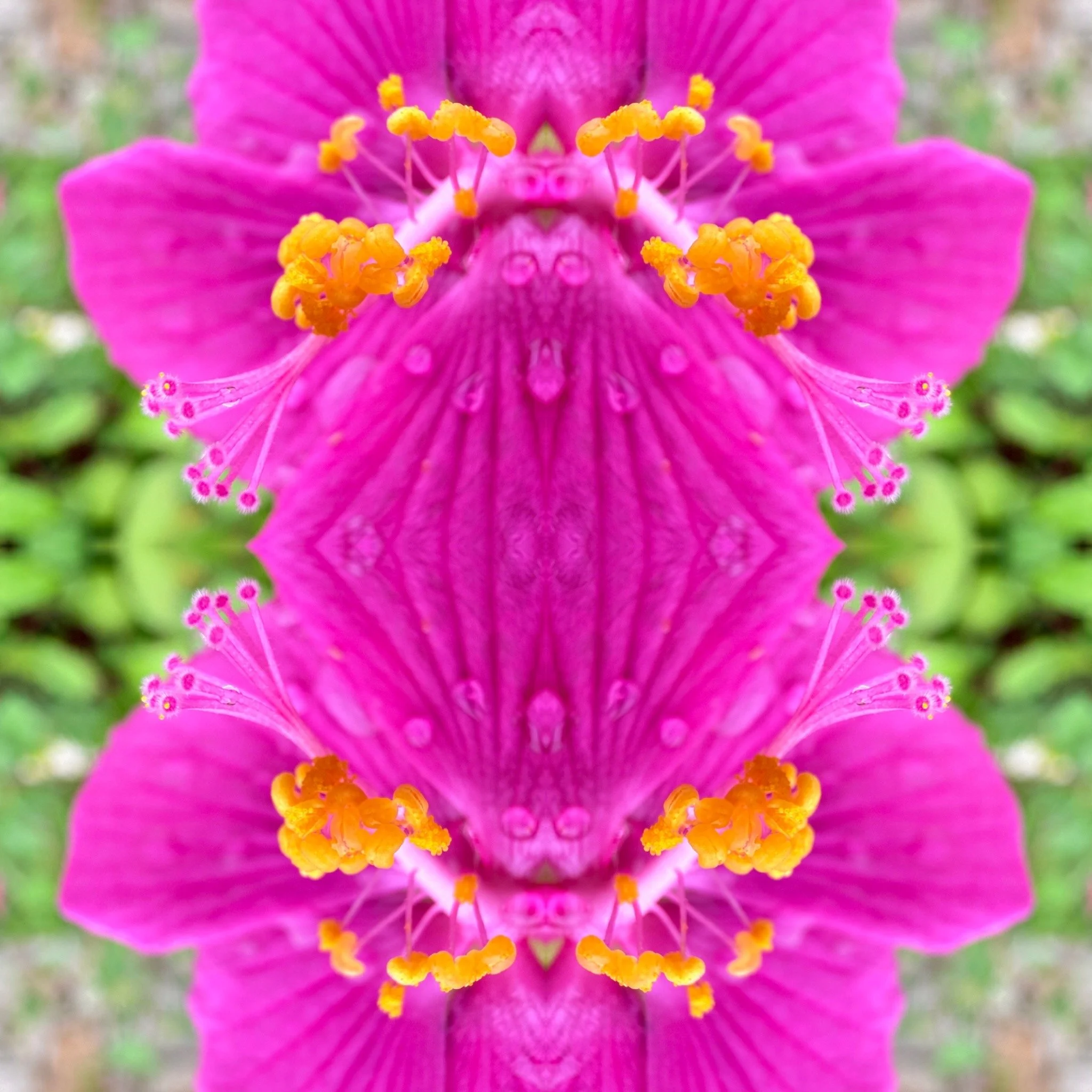 2C0971FA-F4E2-4B00-85D5-40C2EBF6A209.jpg