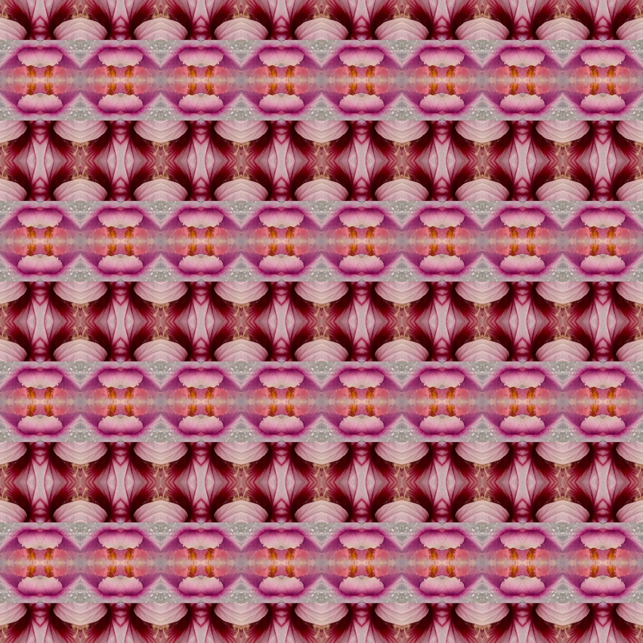 EC2369BD-285D-489C-85A5-9EF280A27616.jpg