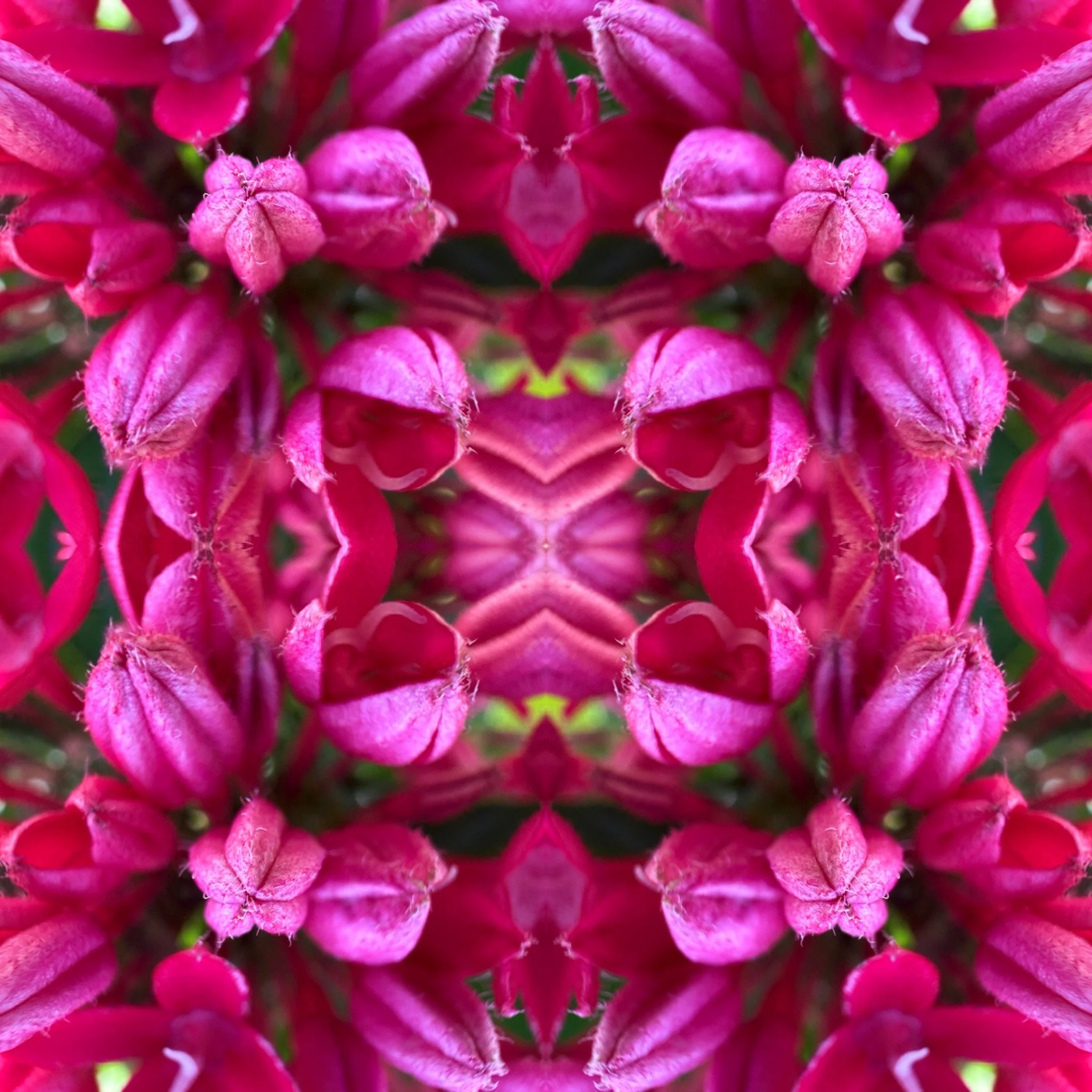 0EF9490A-E147-4FCD-9C2A-462AC1513F84.jpg