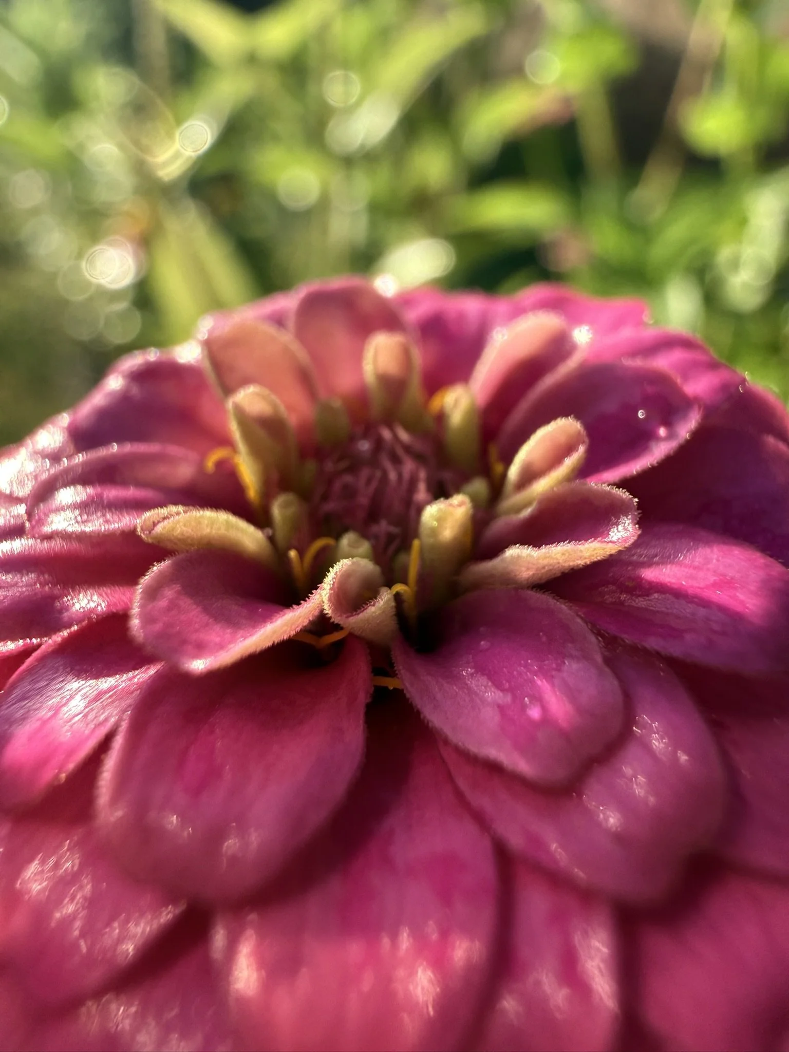 IMG_4595.JPEG