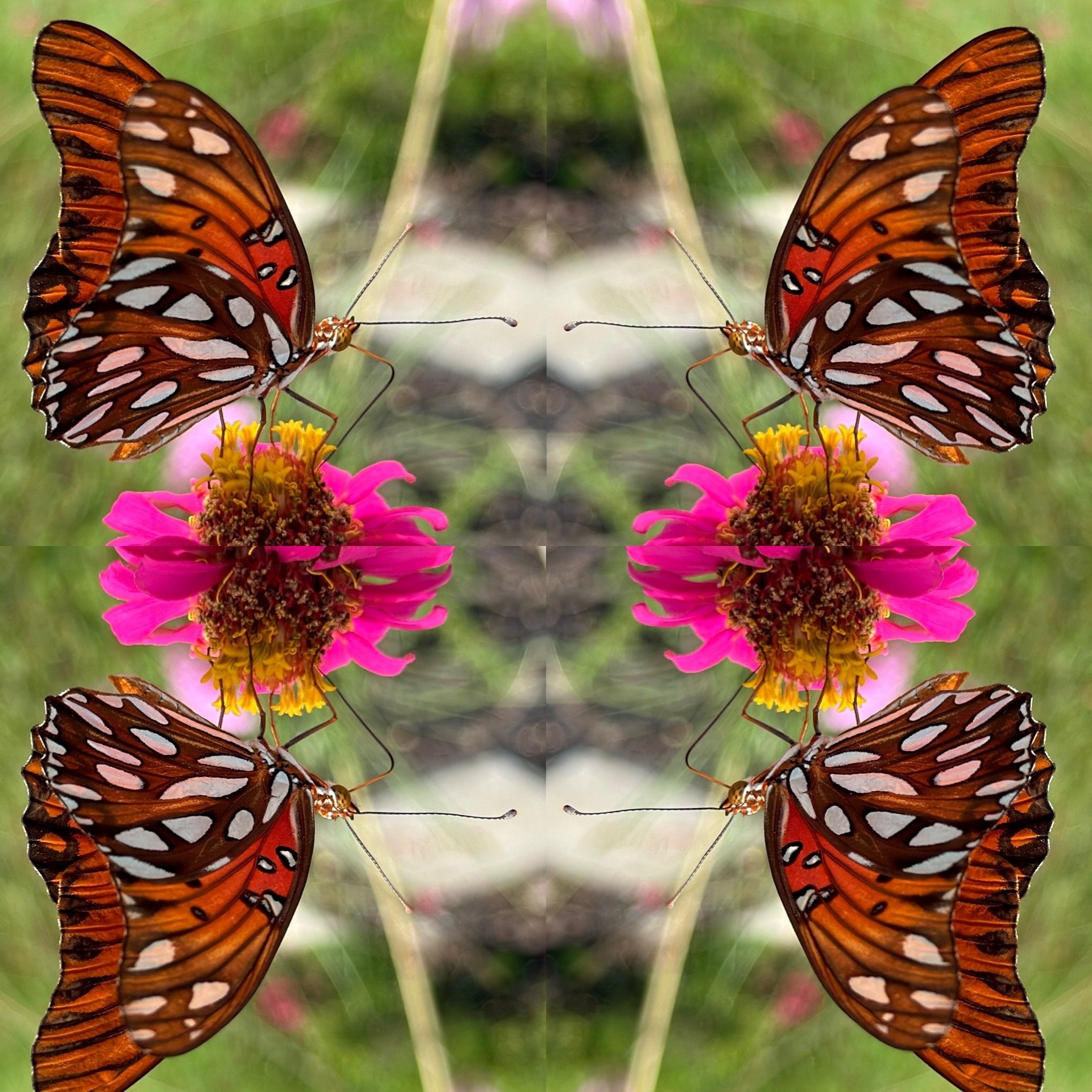 3A21FD30-7EB8-4EA7-9648-37D78C4C1A46.jpg
