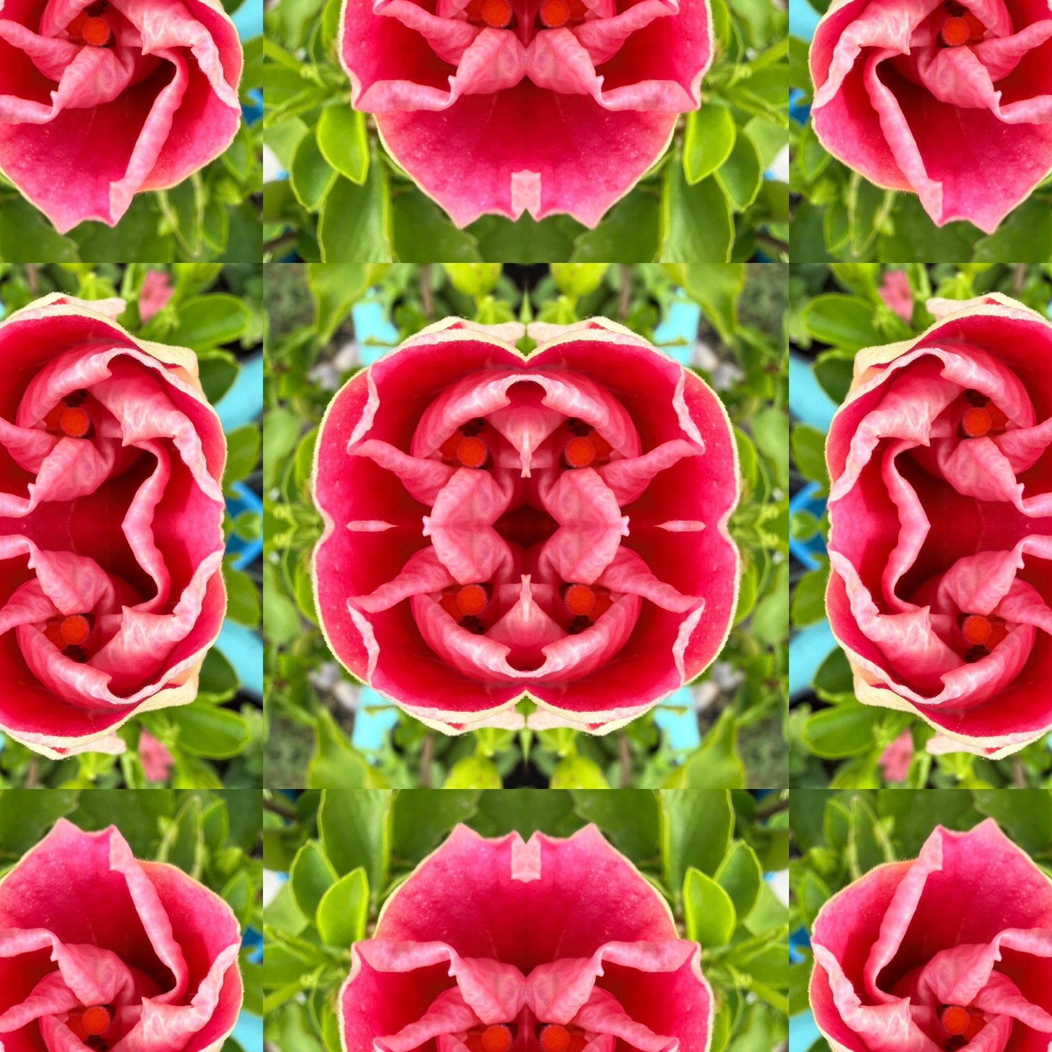 3DEF4777-2C03-4AE3-B878-912D12B8AB6B.jpg