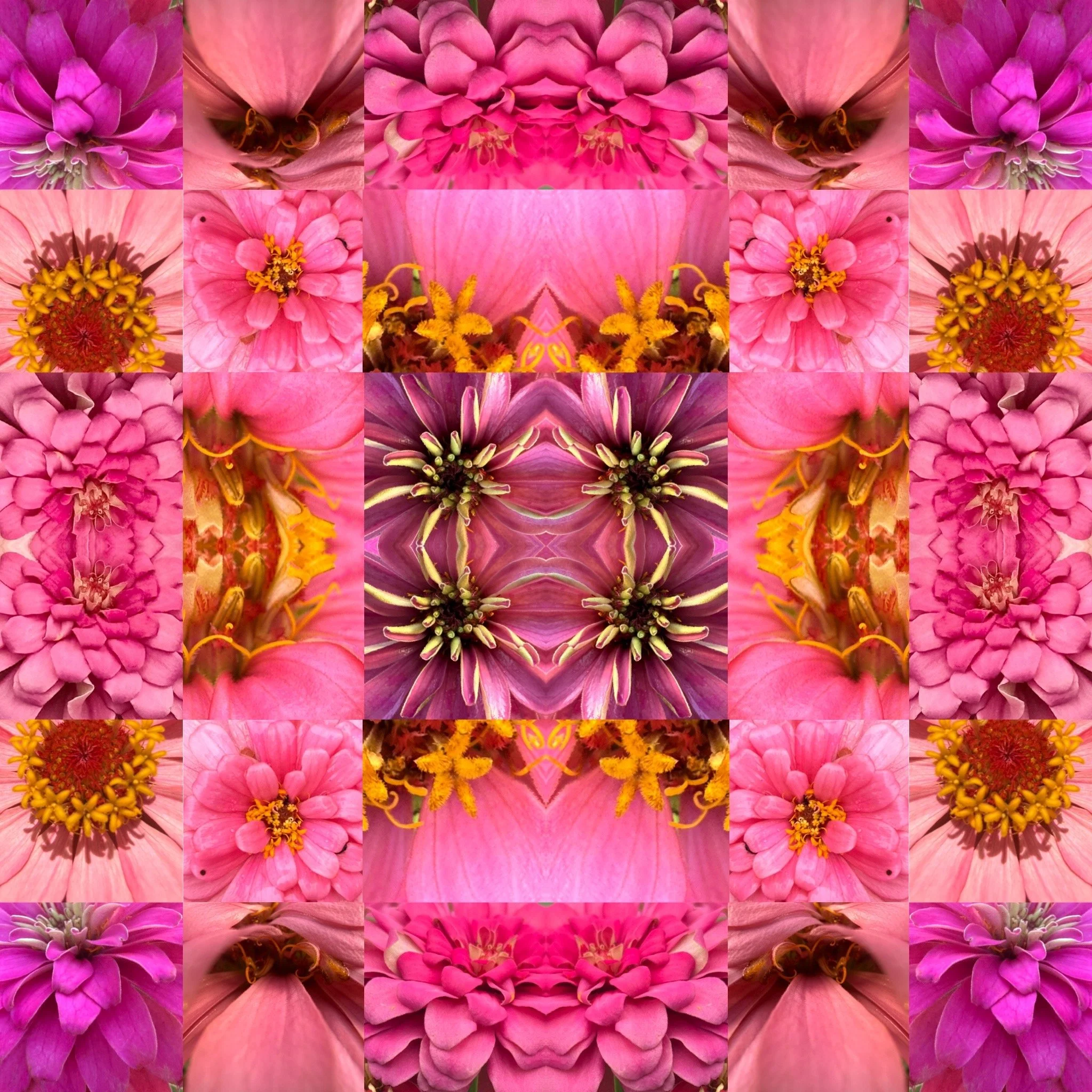 Pink Dream