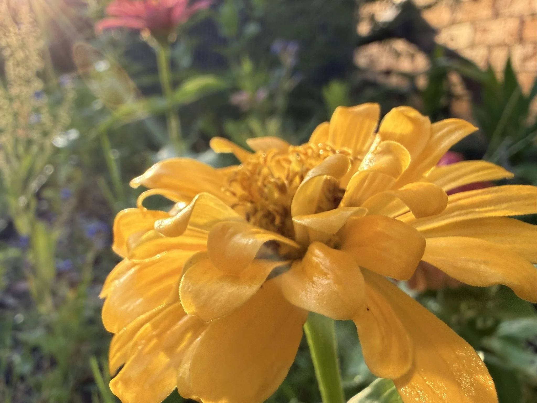 IMG_4330.JPEG
