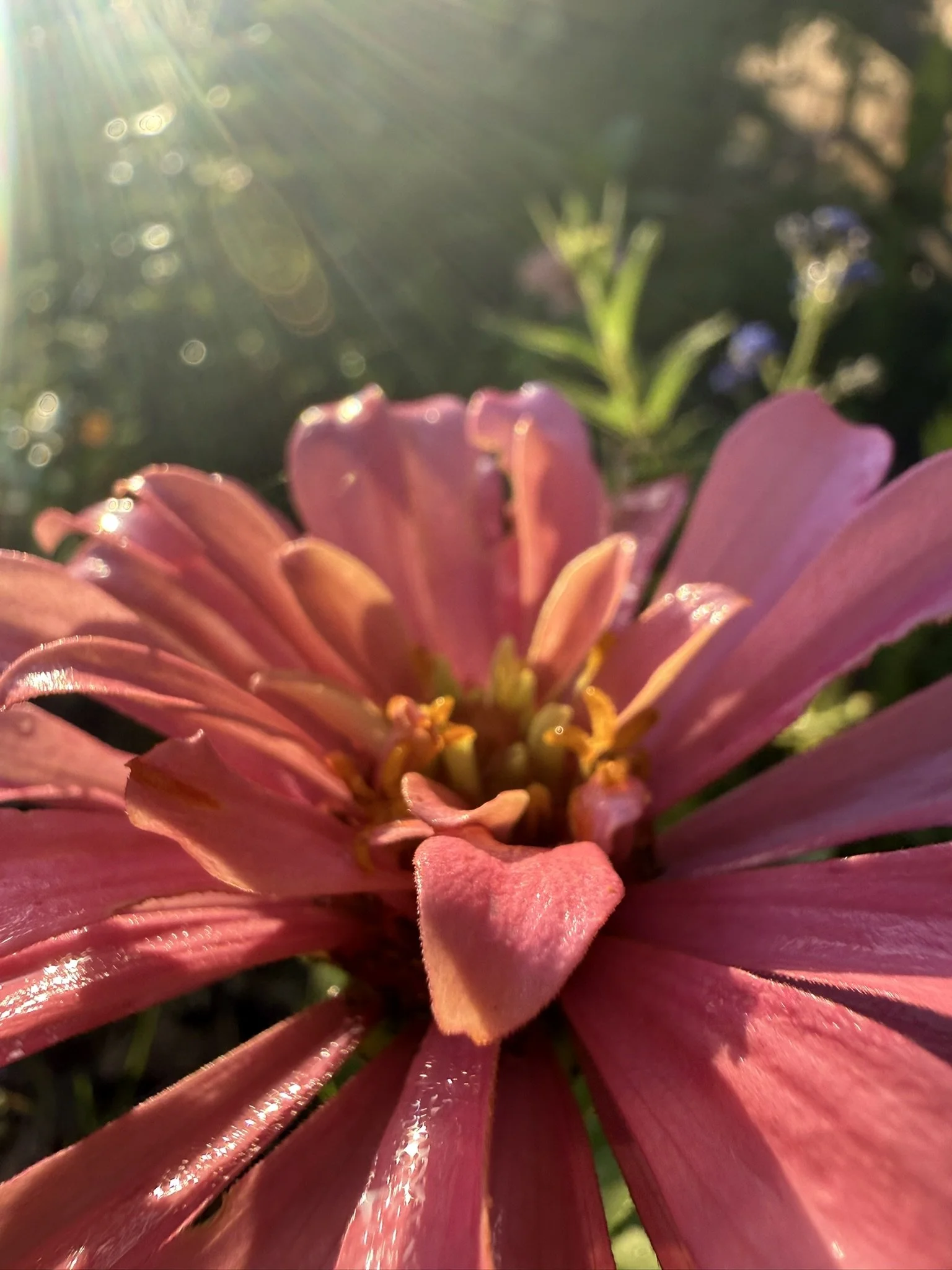 IMG_4378.JPEG