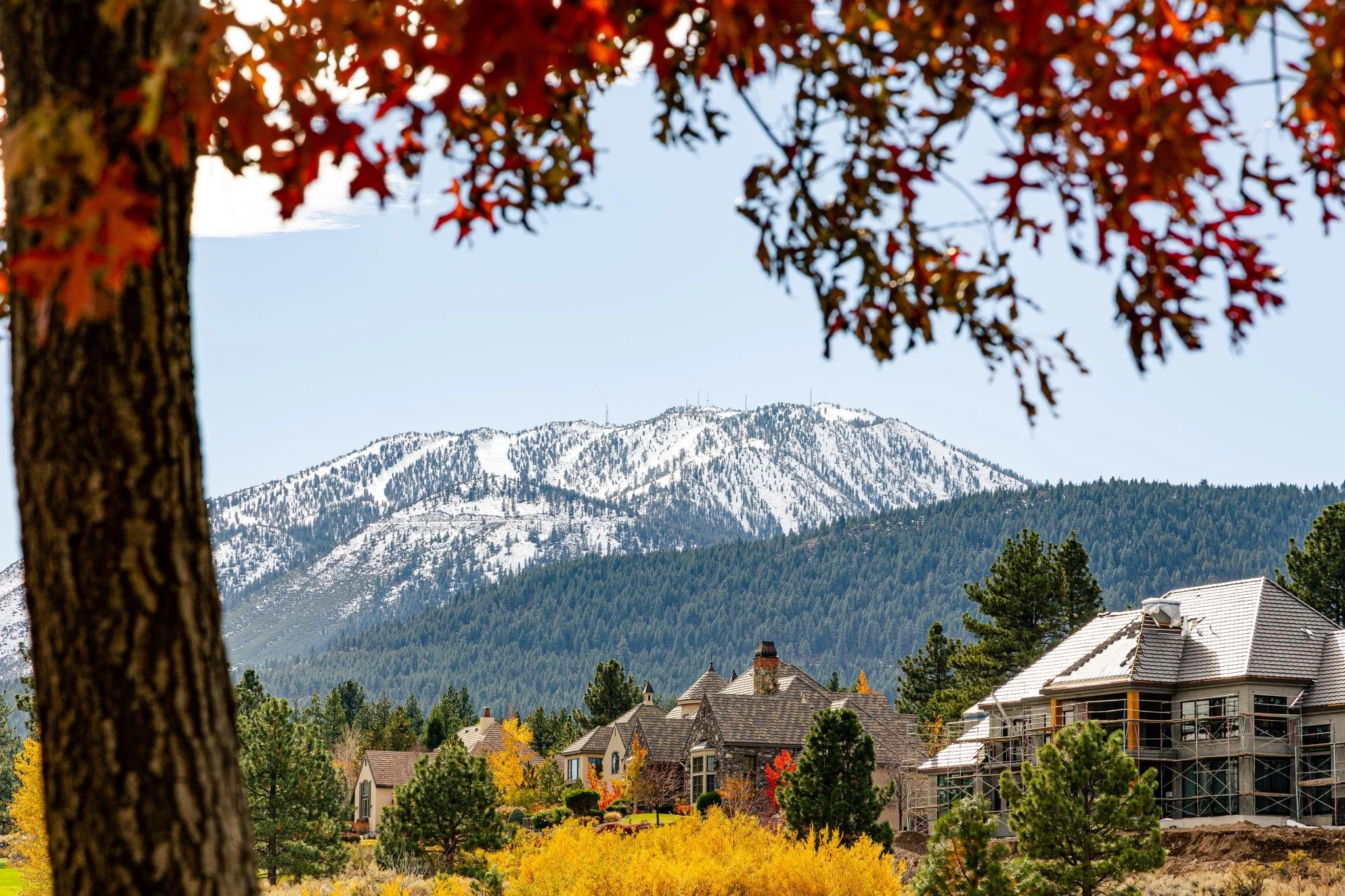 A view of houses with sloped roofs in a residential area at the base of snow-capped mountains, with autumn-colored trees in the foreground and a tree trunk on the left side of the image.