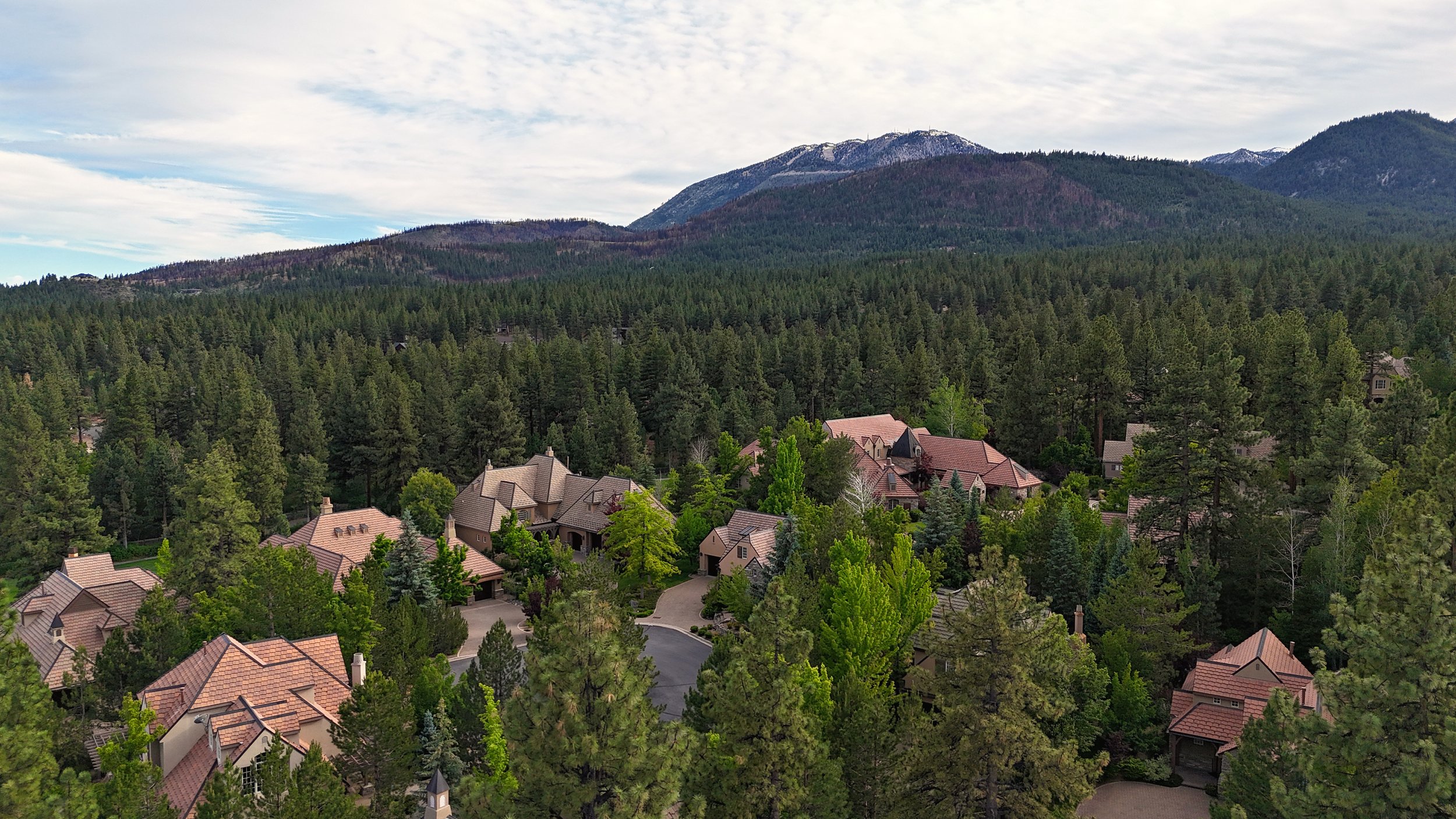 A suburban neighborhood with houses surrounded by lush green trees, over a backdrop of mountains under a partly cloudy sky.