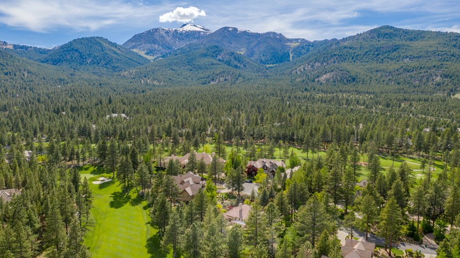 Aerial view of a residential area surrounded by a dense forest with mountains in the background and a snow-capped peak.