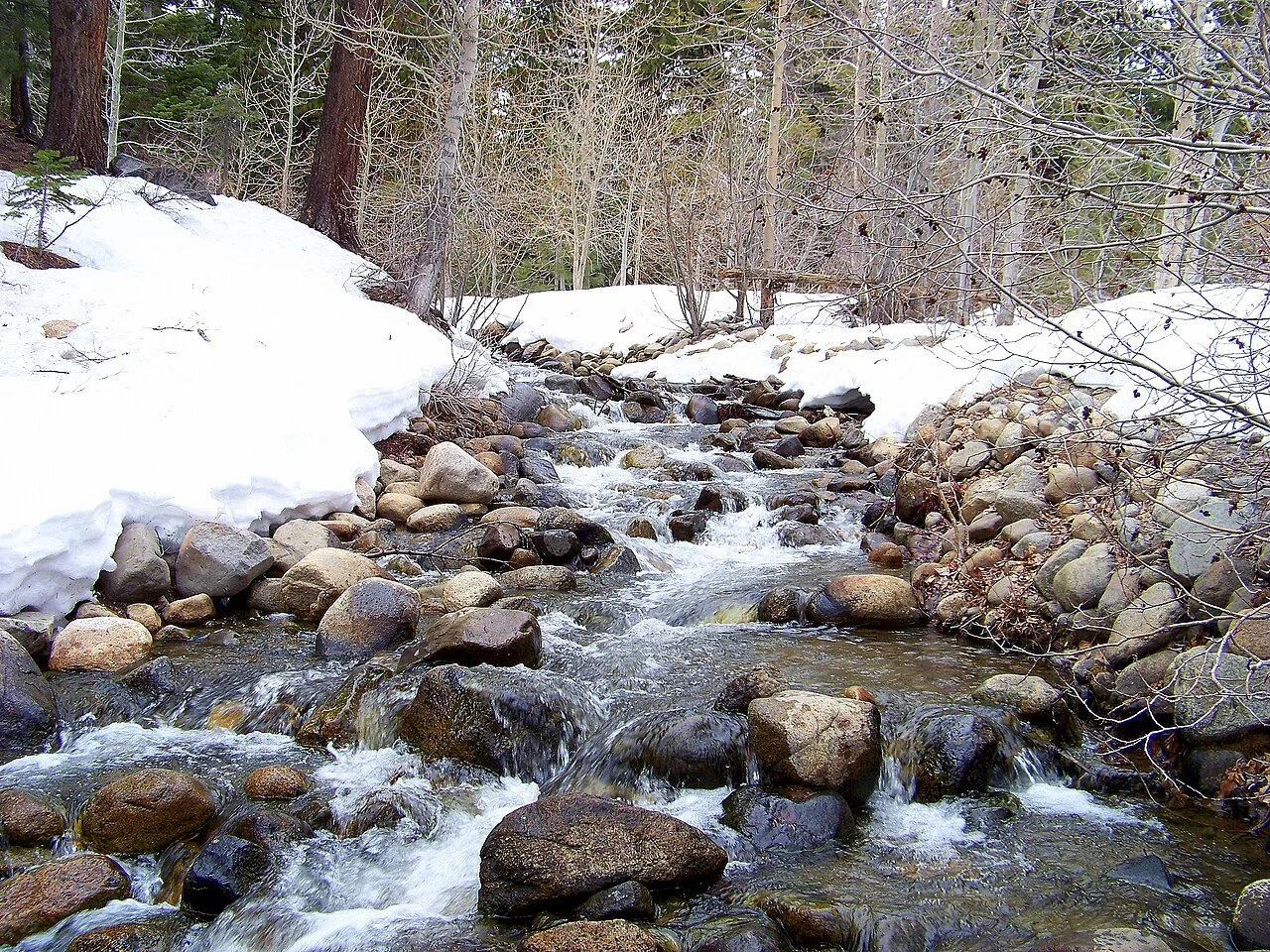 A mountain stream flowing over rocks surrounded by snow and leafless trees in a forest during winter.
