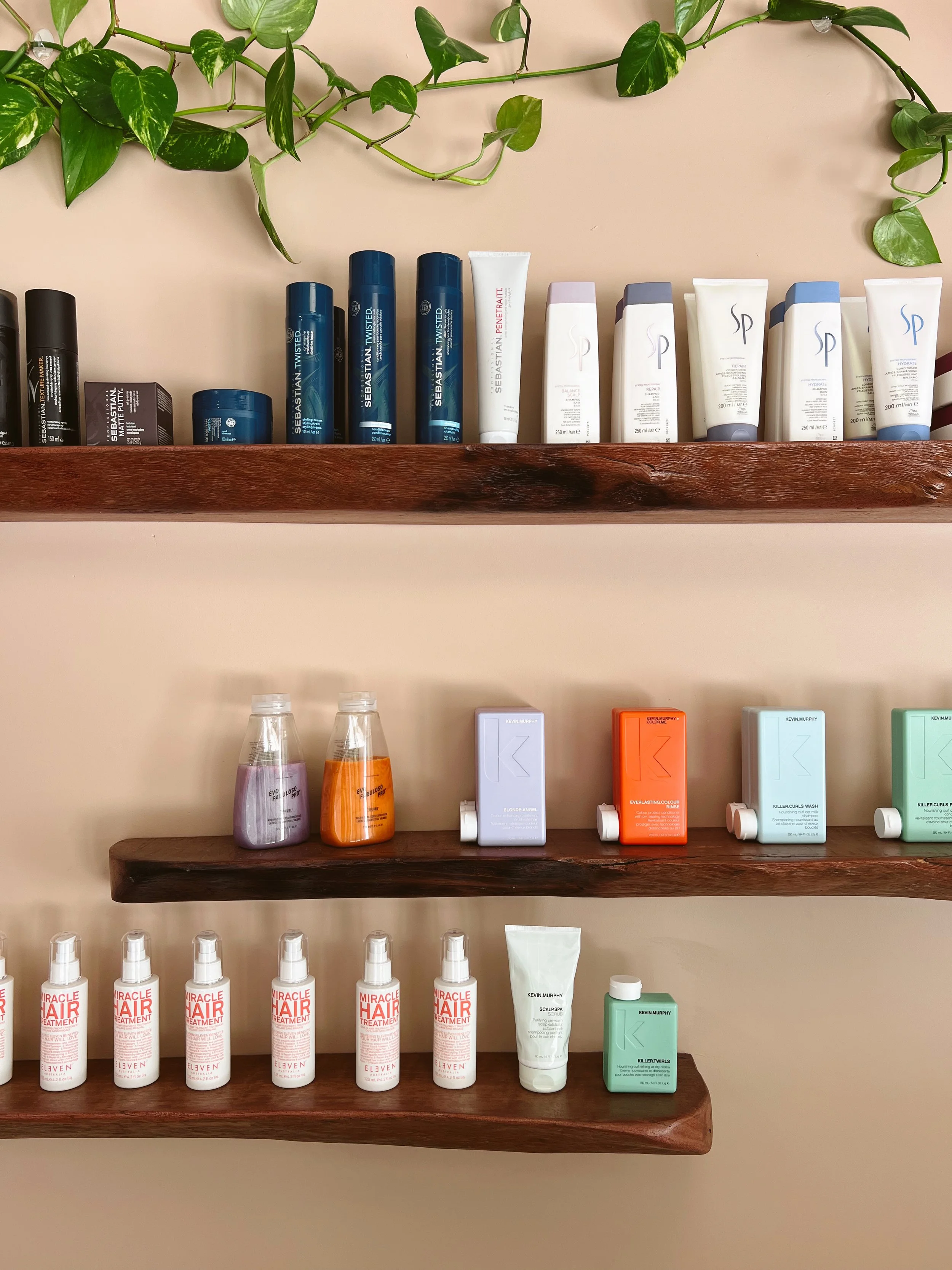 Display of various hair care products on wooden shelves, with green plant hanging above.