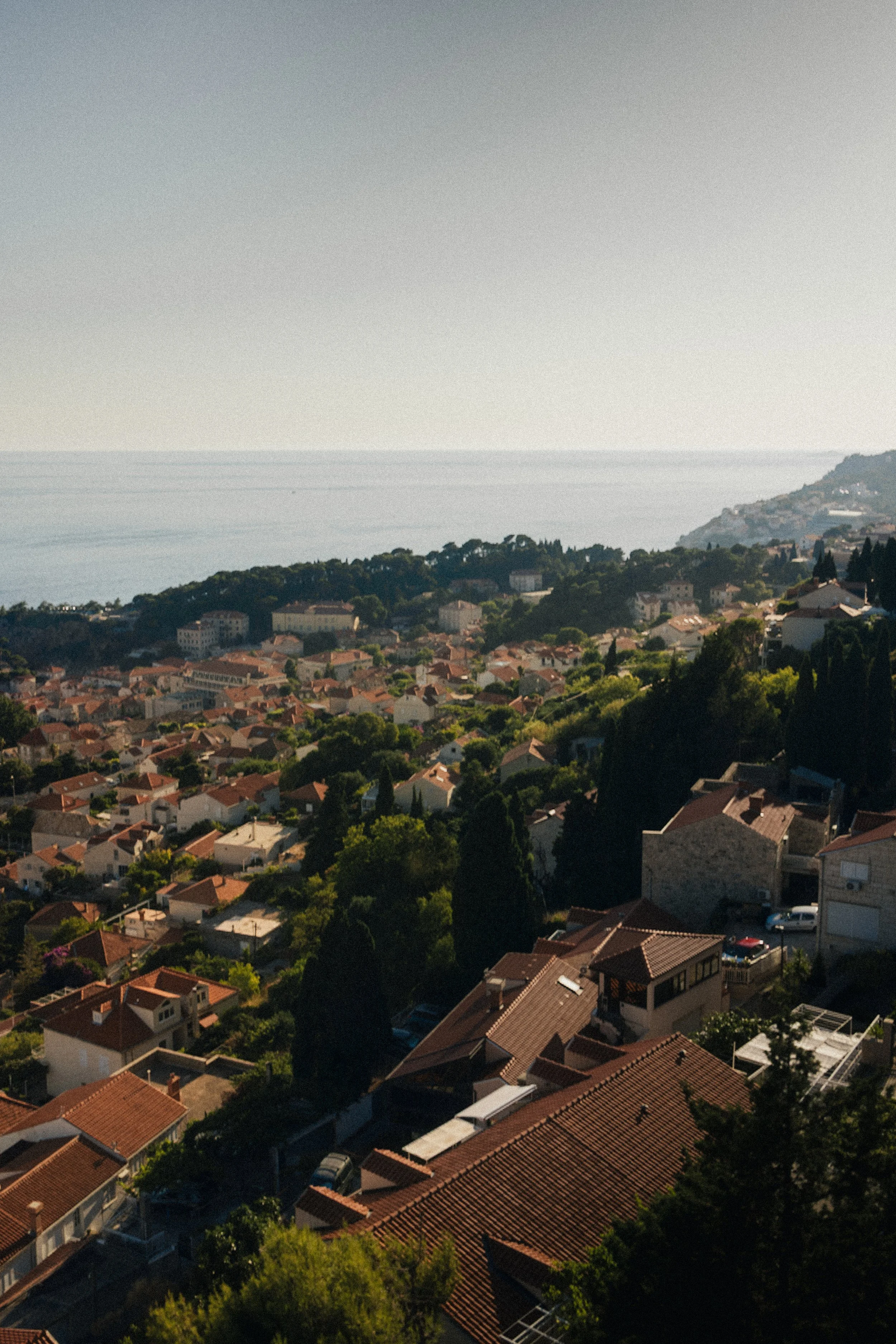 Aerial view of a coastal residential neighborhood with houses that have red tile roofs, surrounded by greenery, with the ocean in the background and hilly terrain on the right.