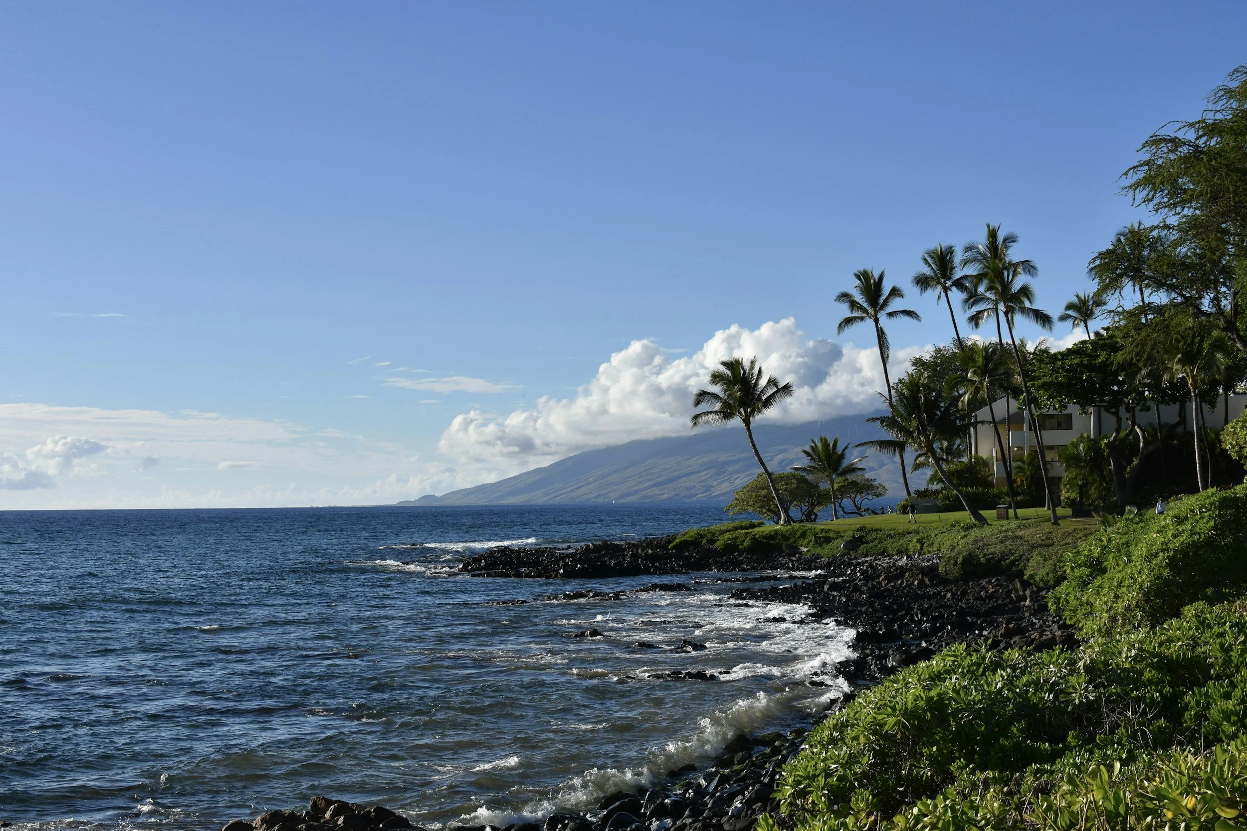 A scenic view of a coastline with dark rocks and green foliage in the foreground, clear blue ocean waves, a green lawn with palm trees, and mountains under a bright blue sky with scattered clouds.