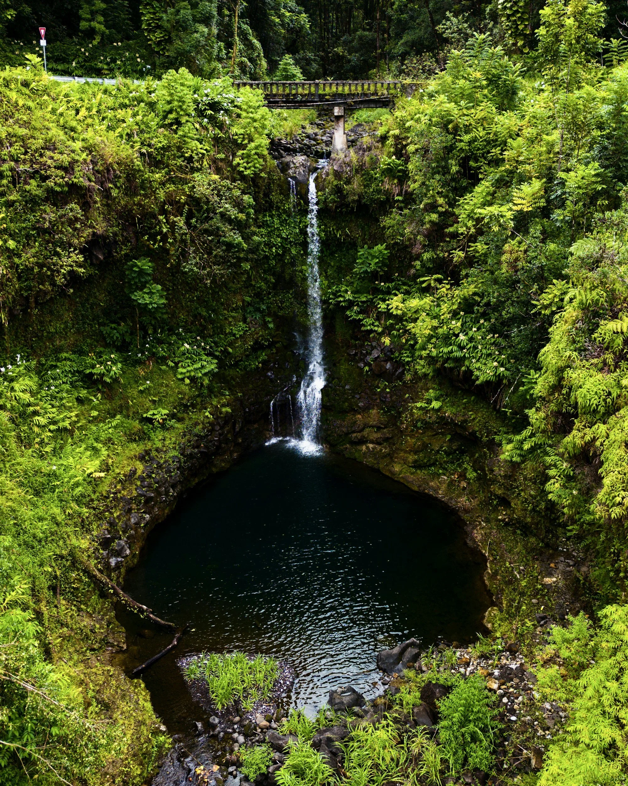 A small waterfall flows into a dark pool of water, surrounded by lush green foliage and plants, with a bridge and trees in the background.