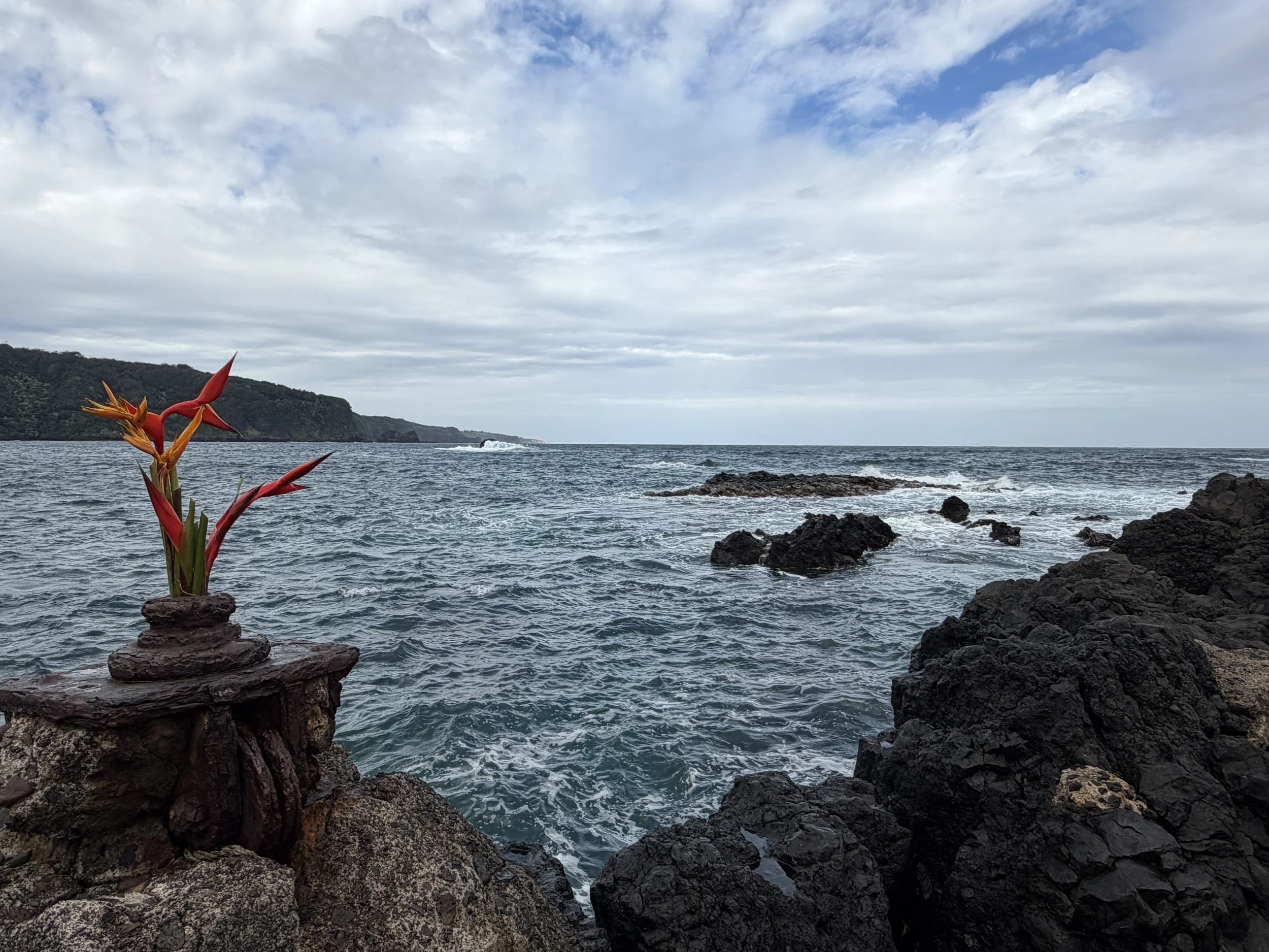 A scenic view of the ocean with dark rocky shoreline, a cloudy sky, and a hill in the background. There are red tropical flowers in the foreground on the rocks.