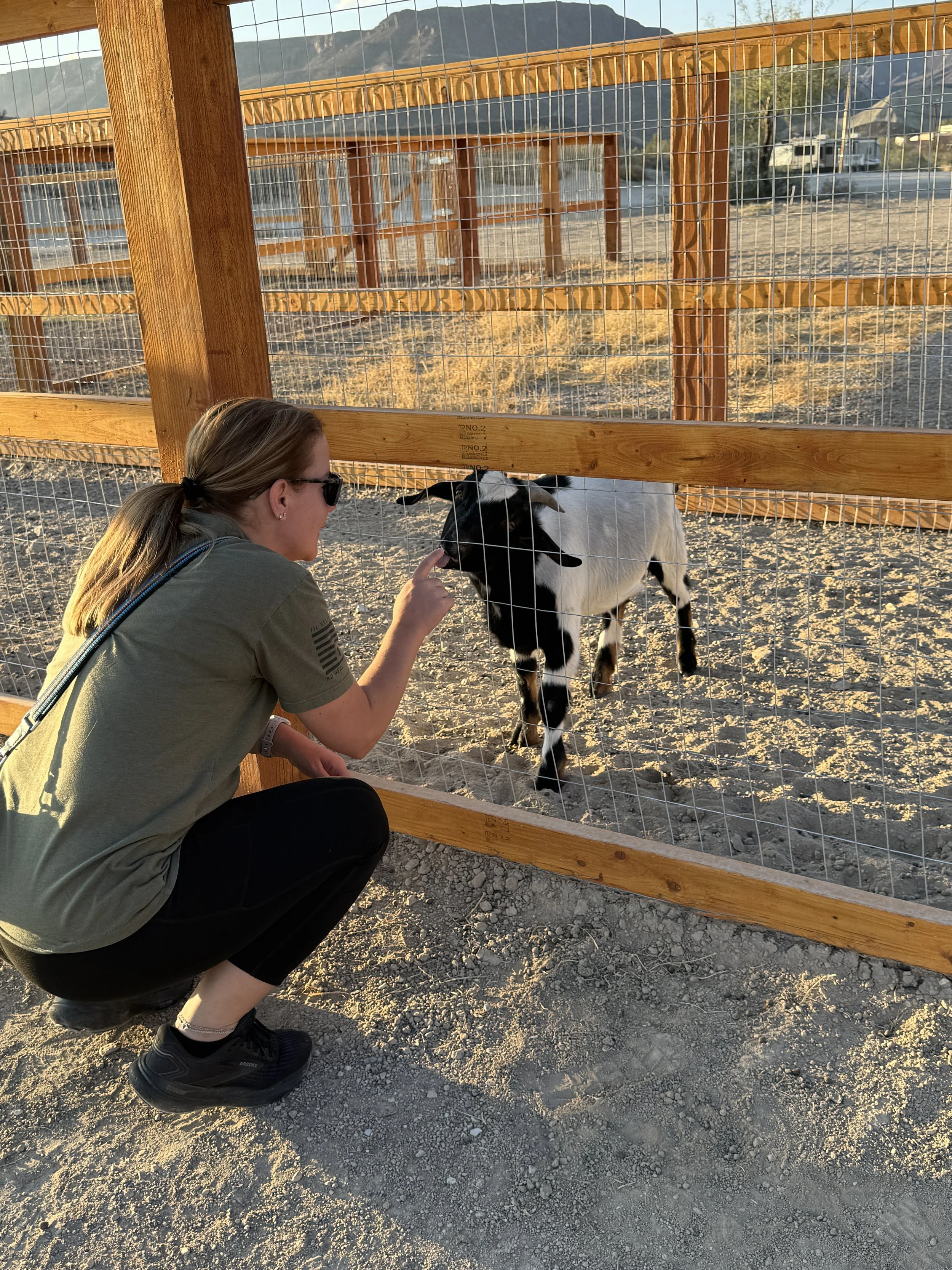 A woman crouching near a wooden and wire fence, reaching out to a small black and white goat.