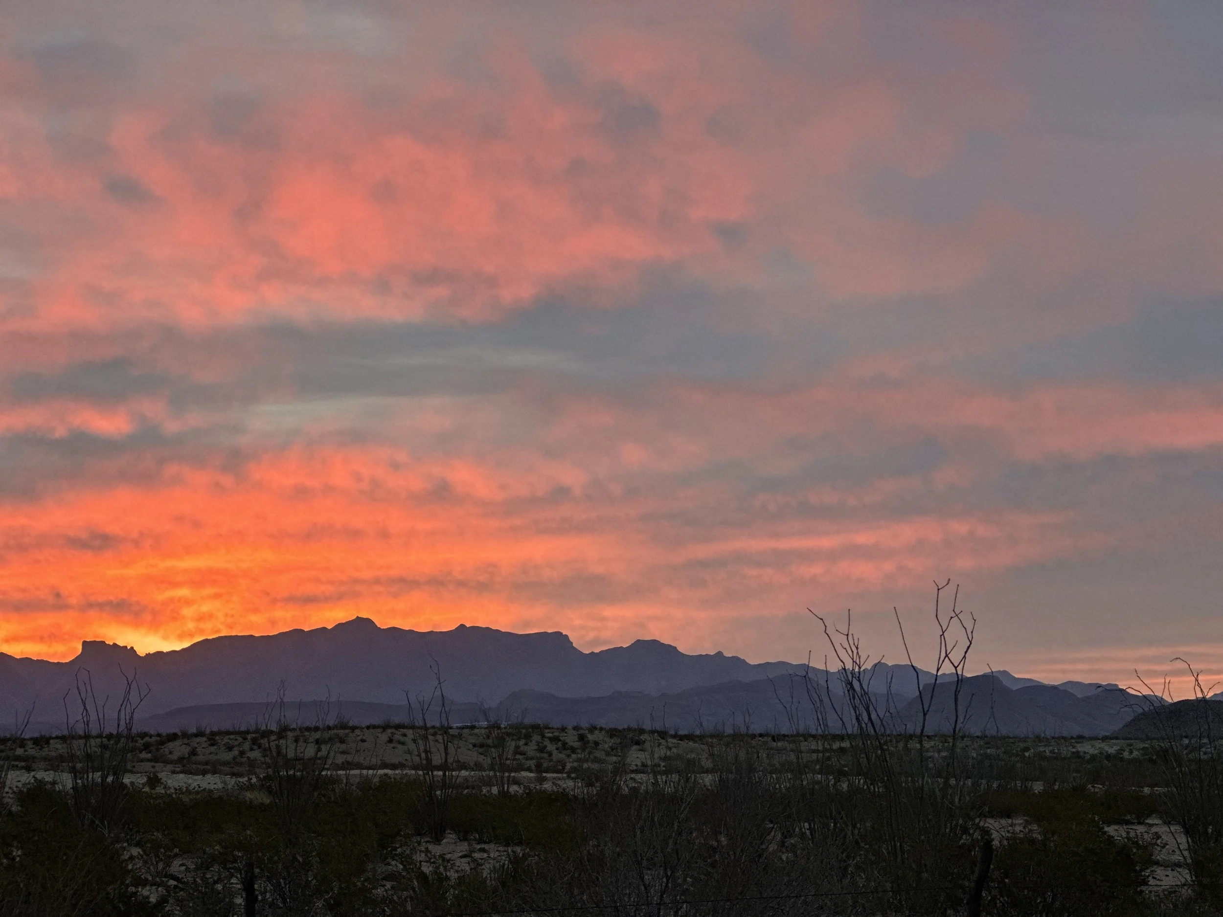 A sunset over a desert landscape with mountains in the background, silhouetted bushes in the foreground, and pink, orange, and blue clouds in the sky.