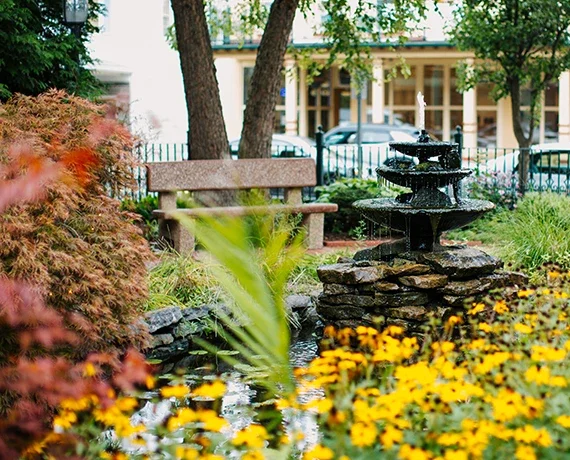 english garden.webp