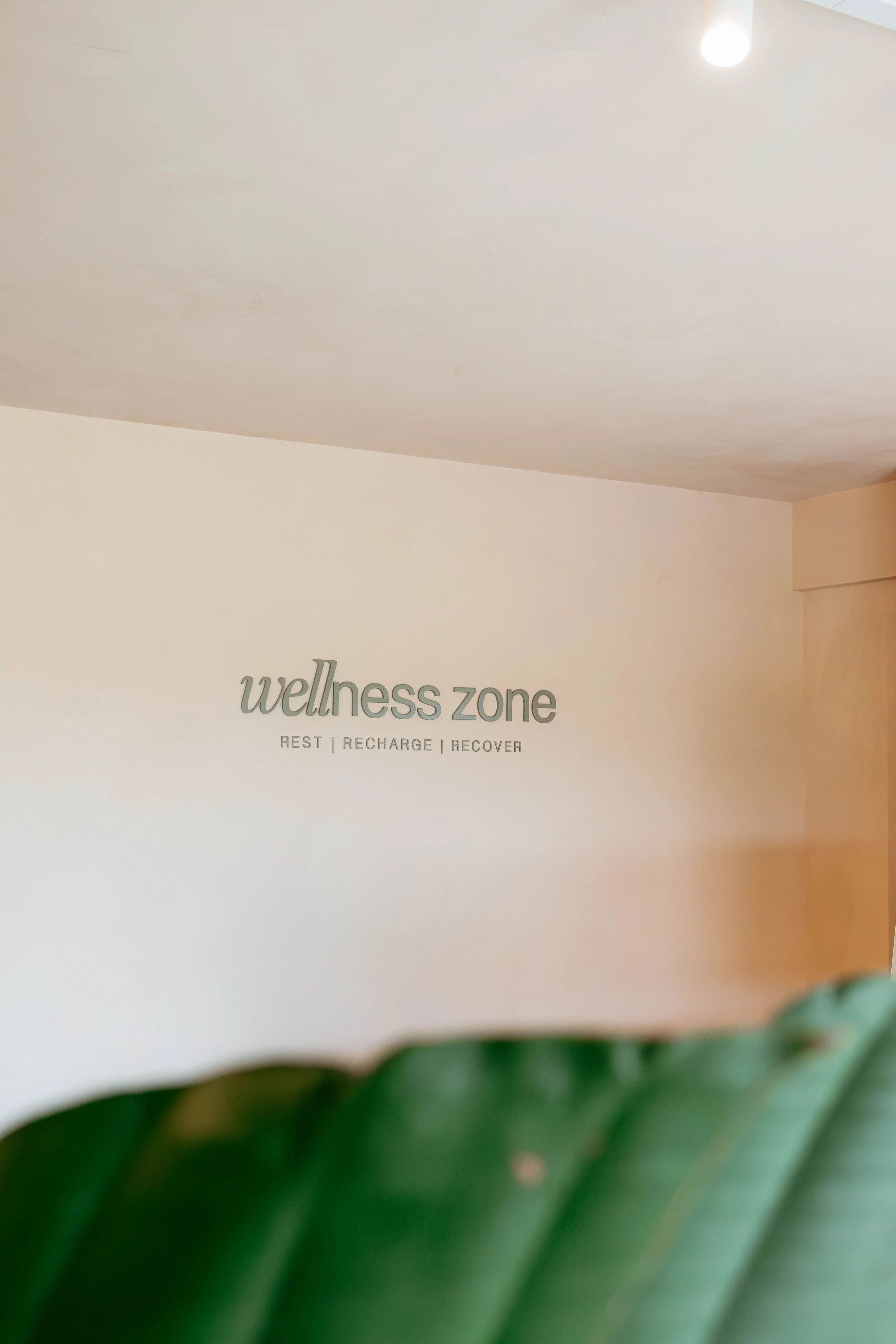 The Wellness Zone