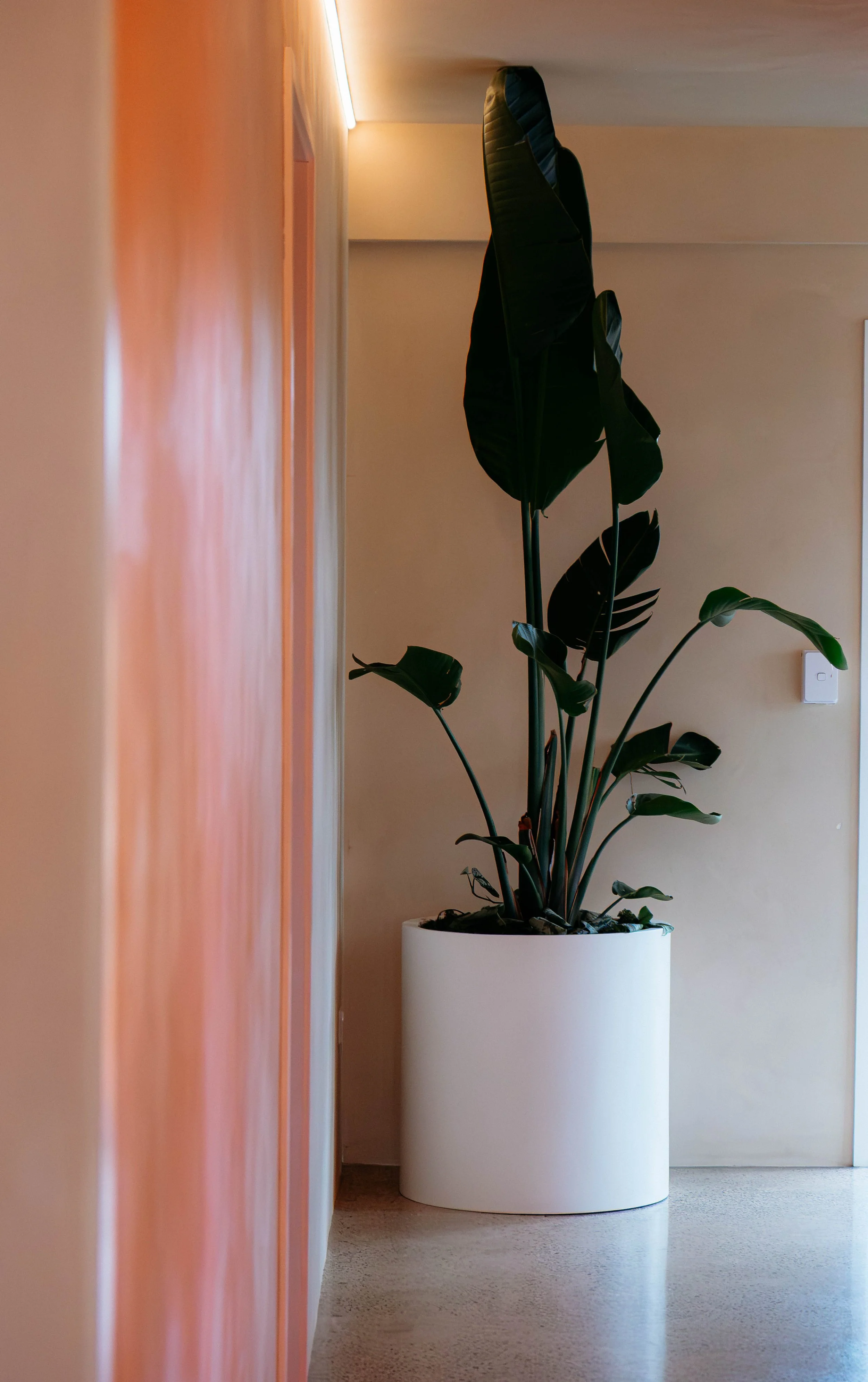 DSCF5574.jpg