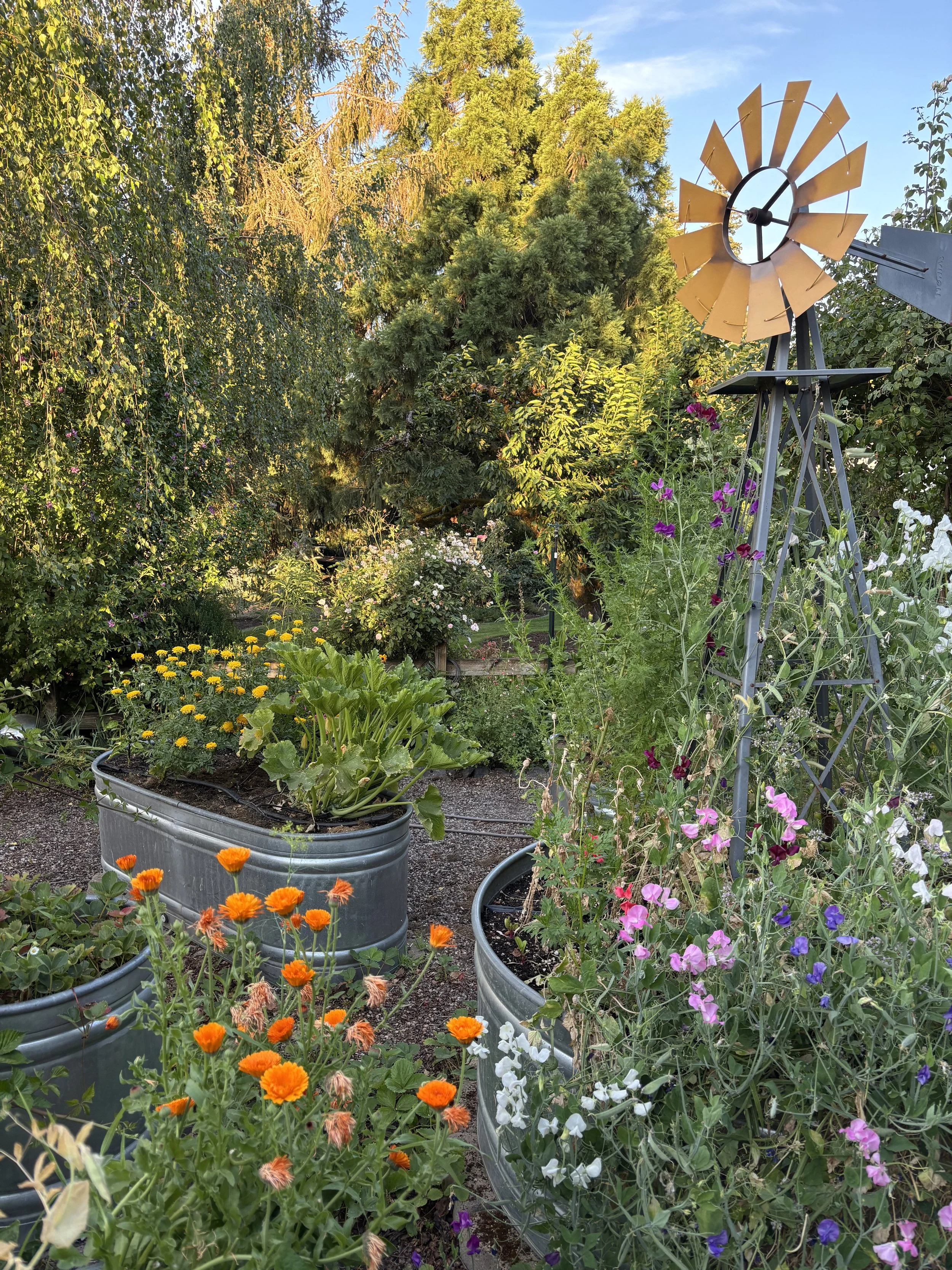 A garden scene with various flowering plants in containers and a windmill sculpture surrounded by greenery and blooming flowers.