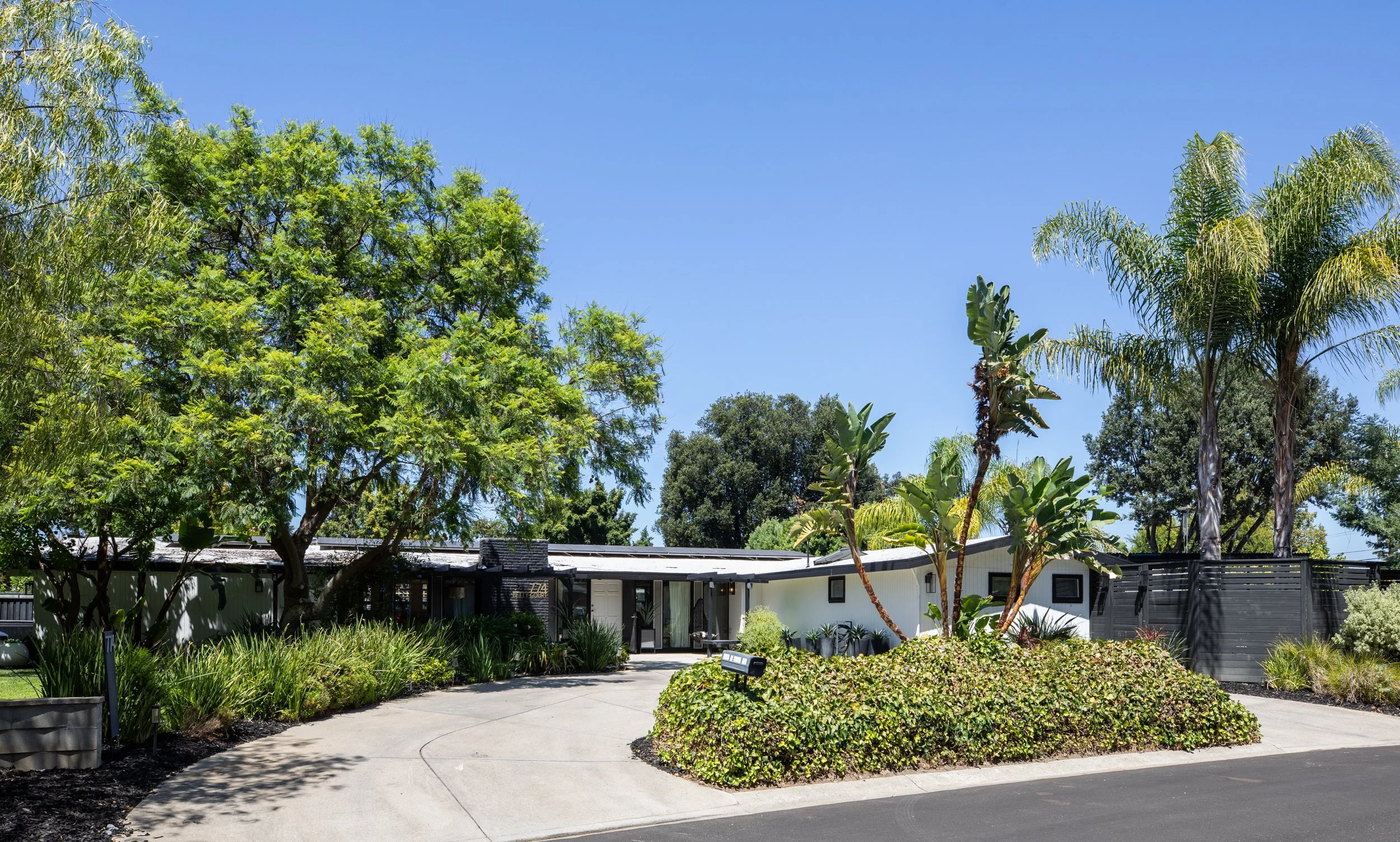 2-Betty_Matt_Anello-3278-MLS.jpg
