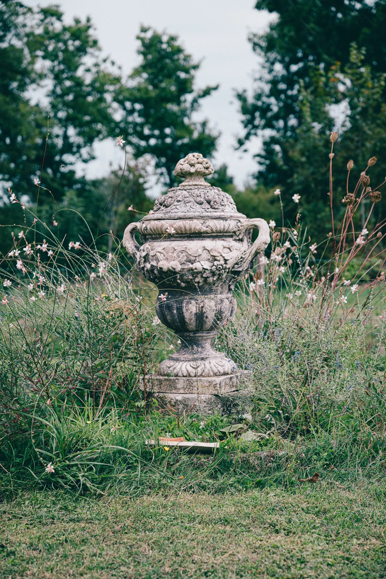 Une fontaine en pierre ancienne dans un jardin, entourée de plantes et de fleurs sauvages, avec des arbres en arrière-plan.
