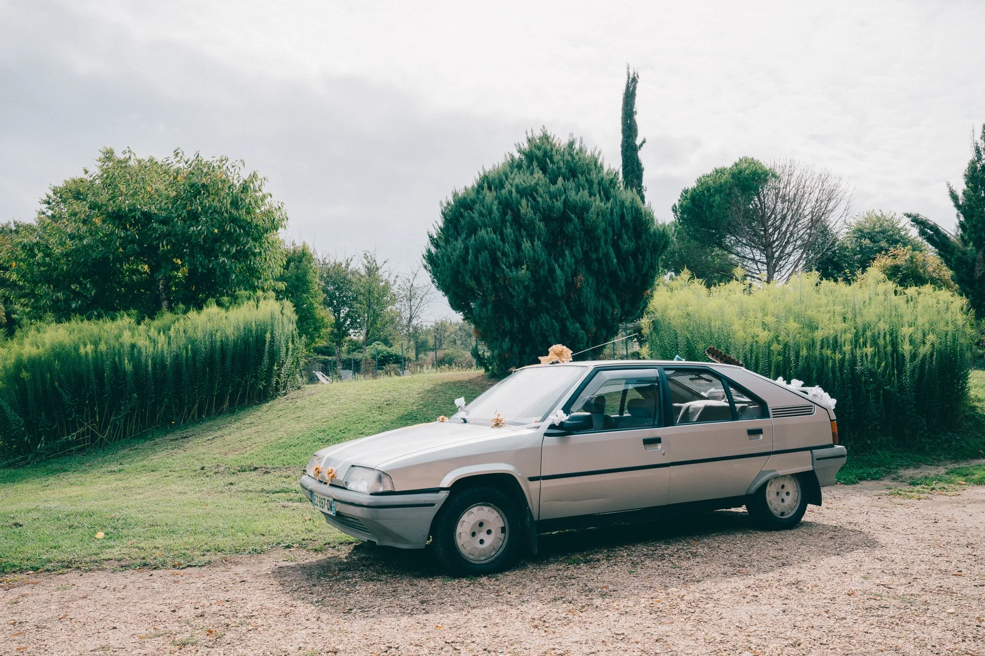Voiture ancienne garée sur un terrain en pleine nature avec des arbres verts en arrière-plan.