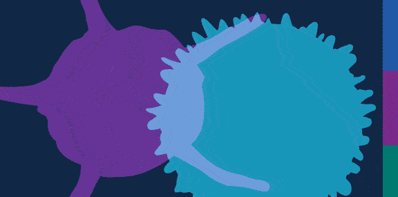 12363271_A23_SANO_TOLE_ECTRIMS-LogoBrandNameReveal_US_v13.gif