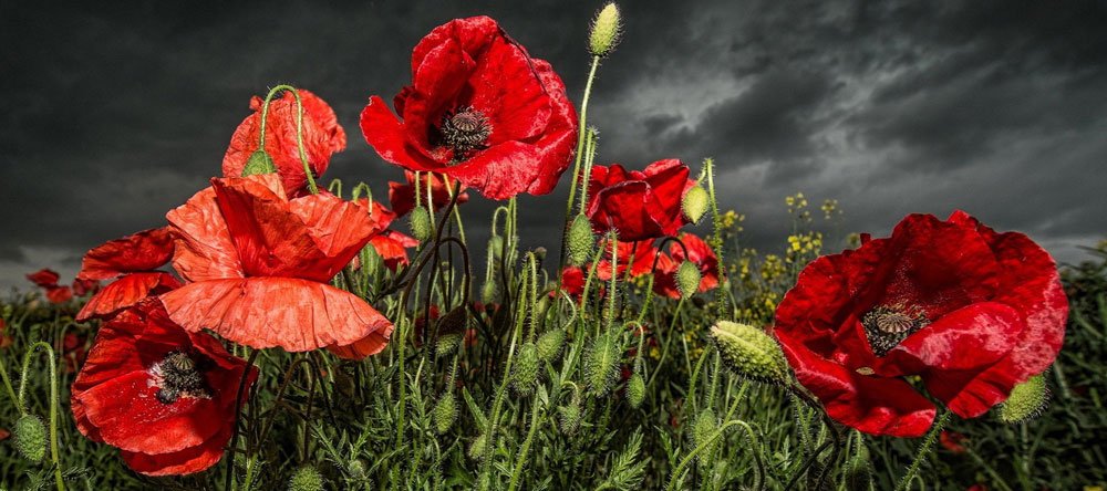 In Time of War
