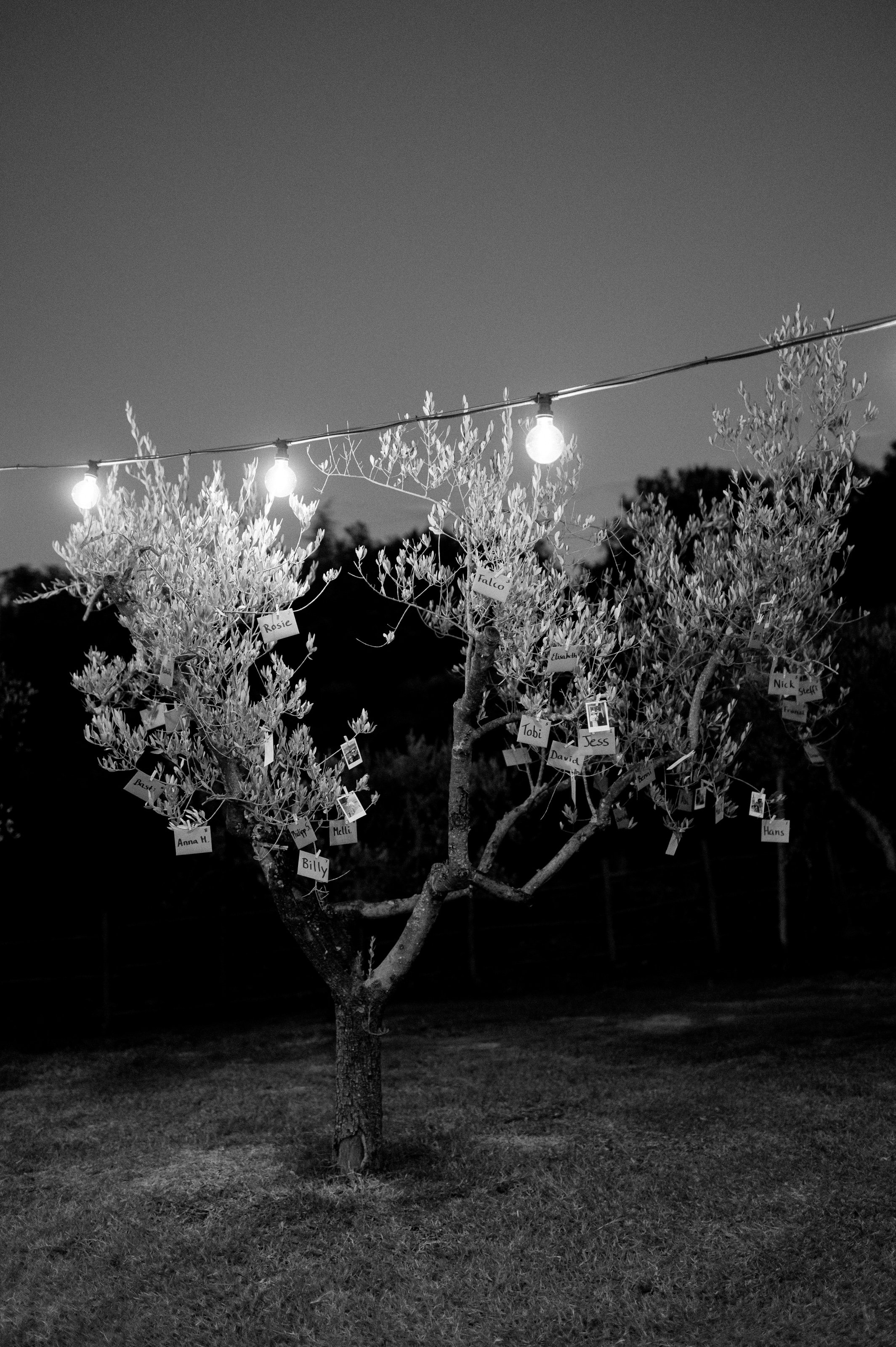 chianti-tuscany-wedding-florence-lisa-poggi - 088.jpg