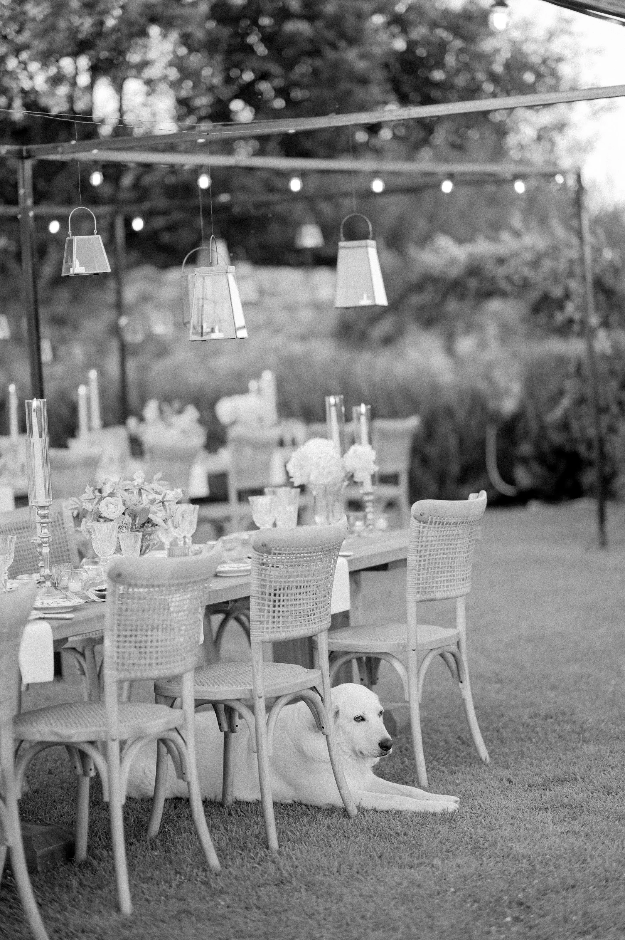 castello-di-vicarello-tuscany-italy-wedding-lisa-poggi - 064.jpg