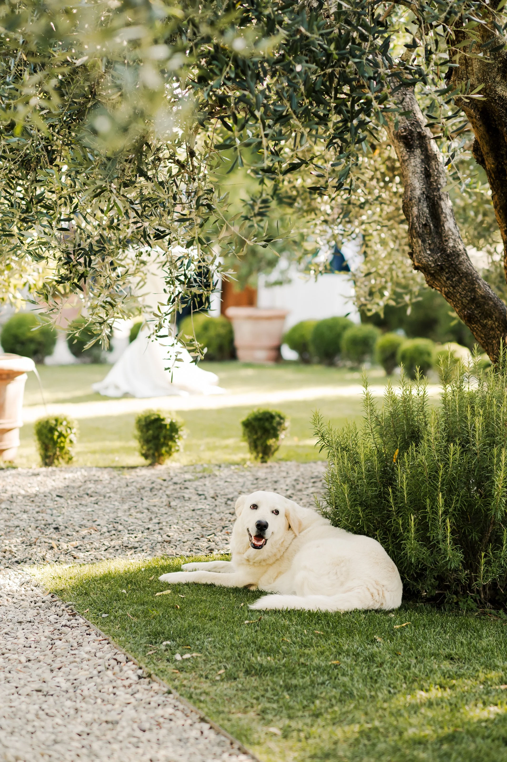castello-di-vicarello-tuscany-italy-wedding-lisa-poggi - 038.jpg