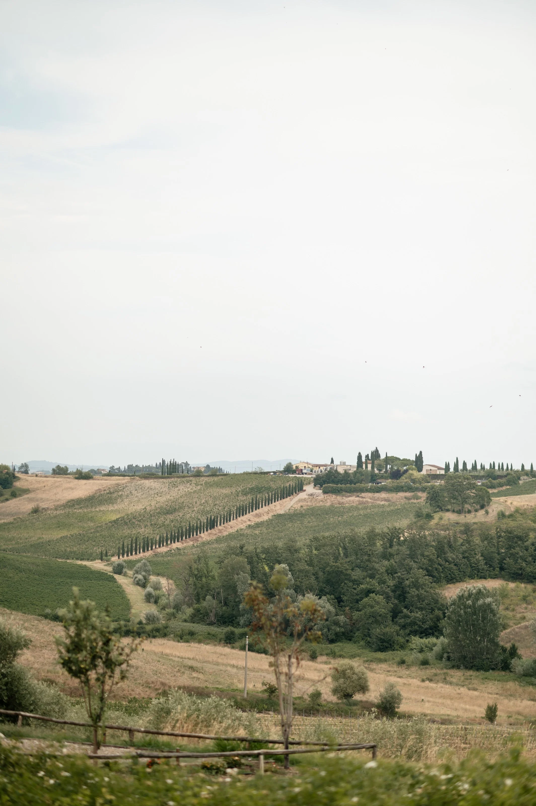 LD - lisapoggi - 087.jpg