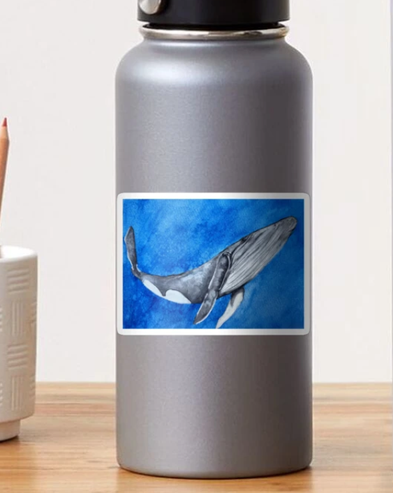 Whale Sticker