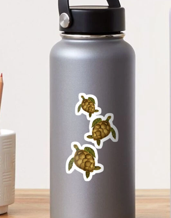 Turtle Sticker