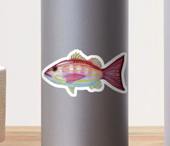 Lane Snapper Sticker