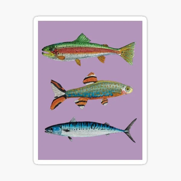 st,small,507x507-pad,600x600,f8f8f8(2).jpg